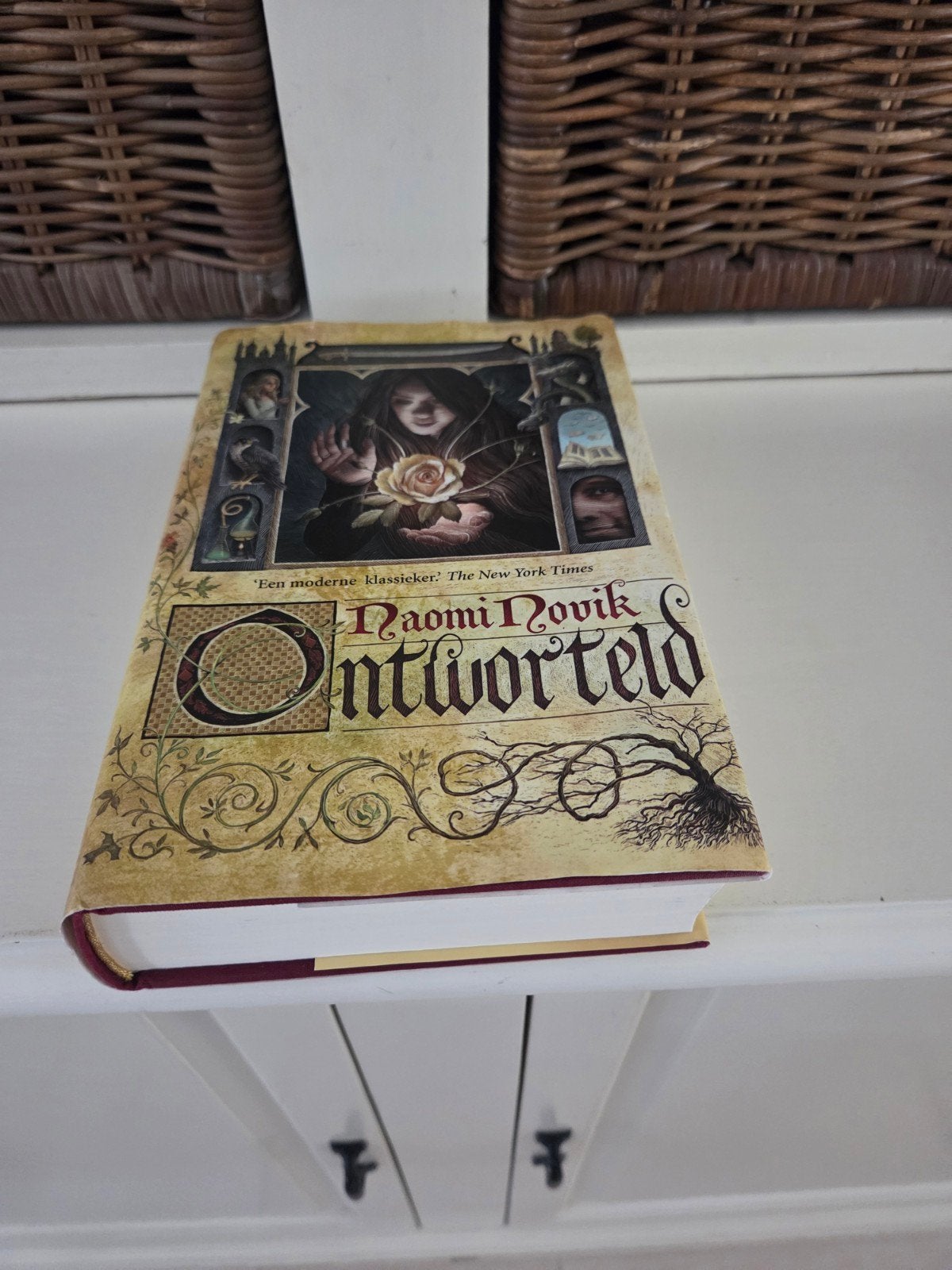 Naomi Novik - Ontworteld, Boeken, Ophalen of Verzenden, Zo goed als nieuw, Naomi Novik