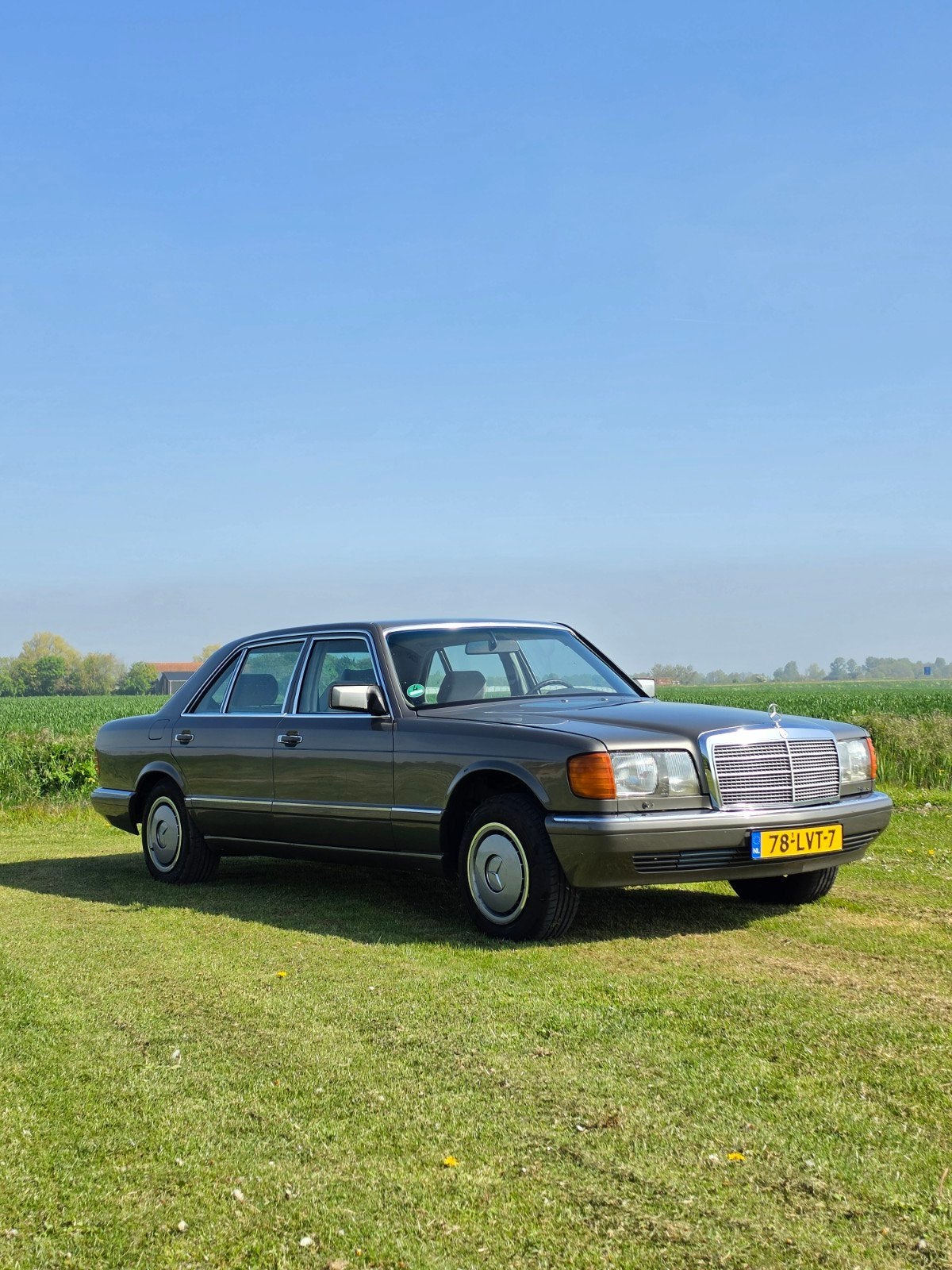 Mercedes-Benz 1986 Grijs V8 WB VRIJ, Automaat, 8 cilinders, 4146 cc, Grijs