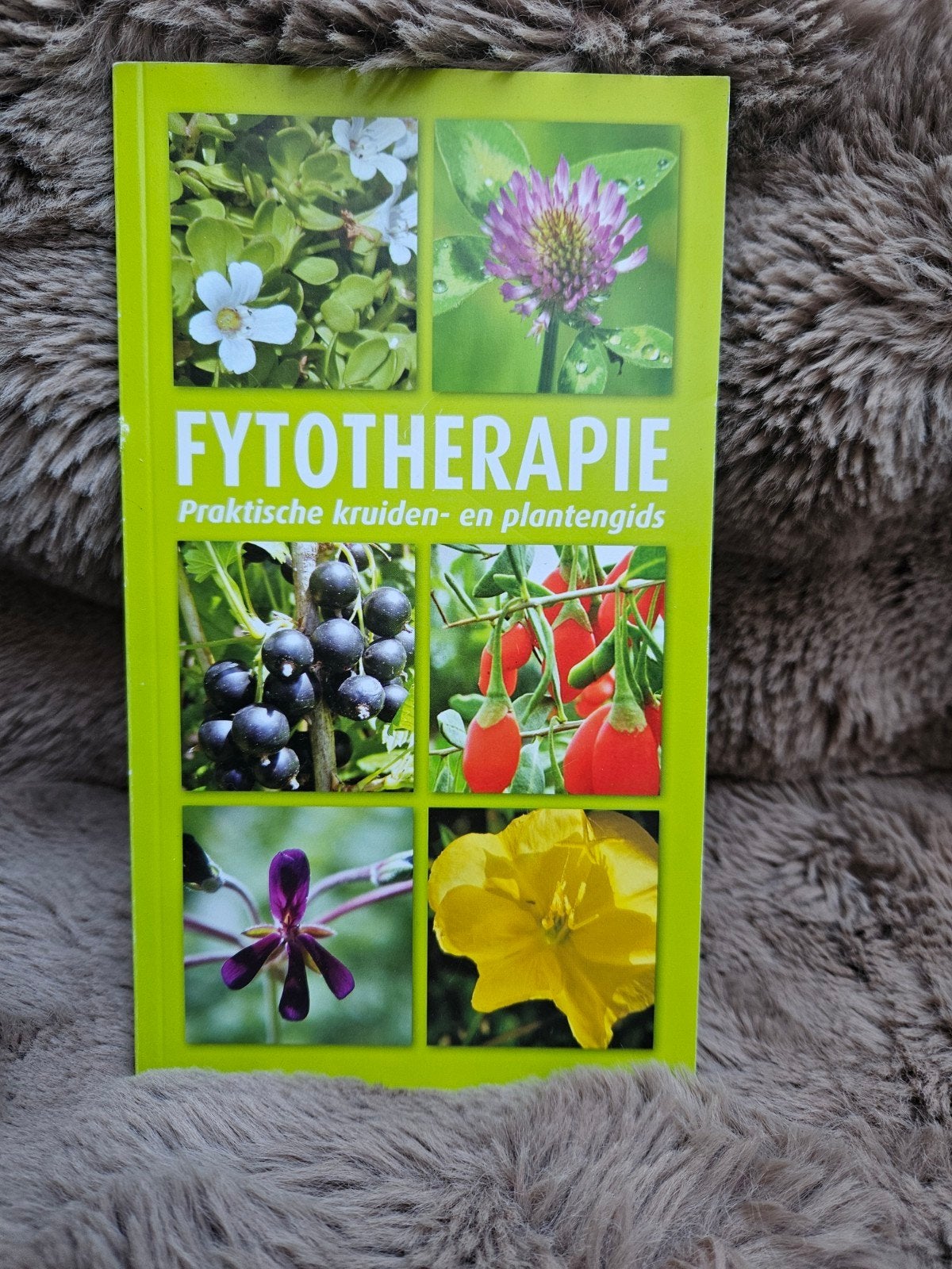 Boekje Fyotherapie, Ophalen of Verzenden, Bloemen, Planten en Bomen