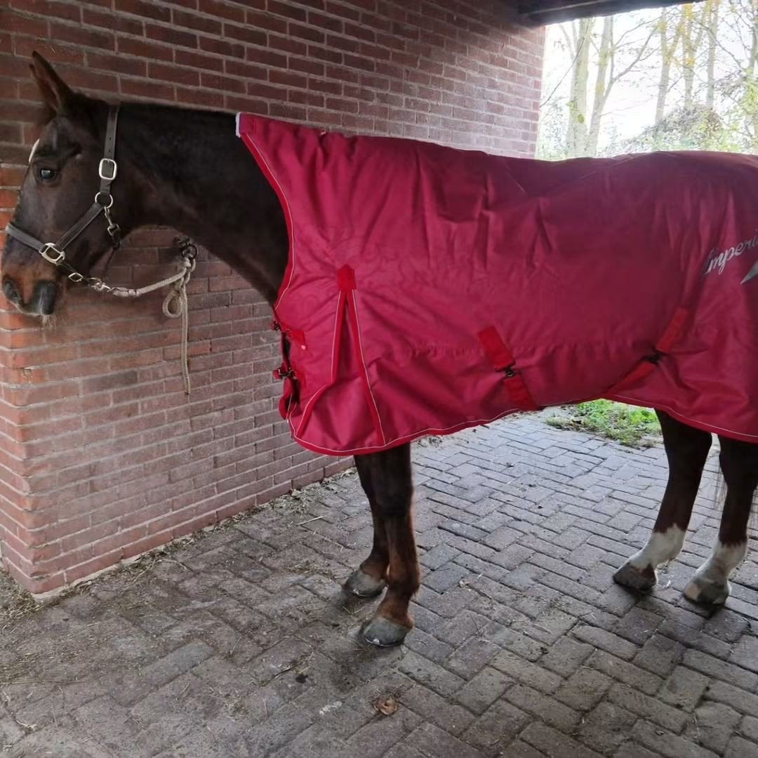 Imperial riding outdoor superdry 400 gr, Dieren en Toebehoren, Paarden en Pony's | Dekens en Dekjes, Ophalen of Verzenden
