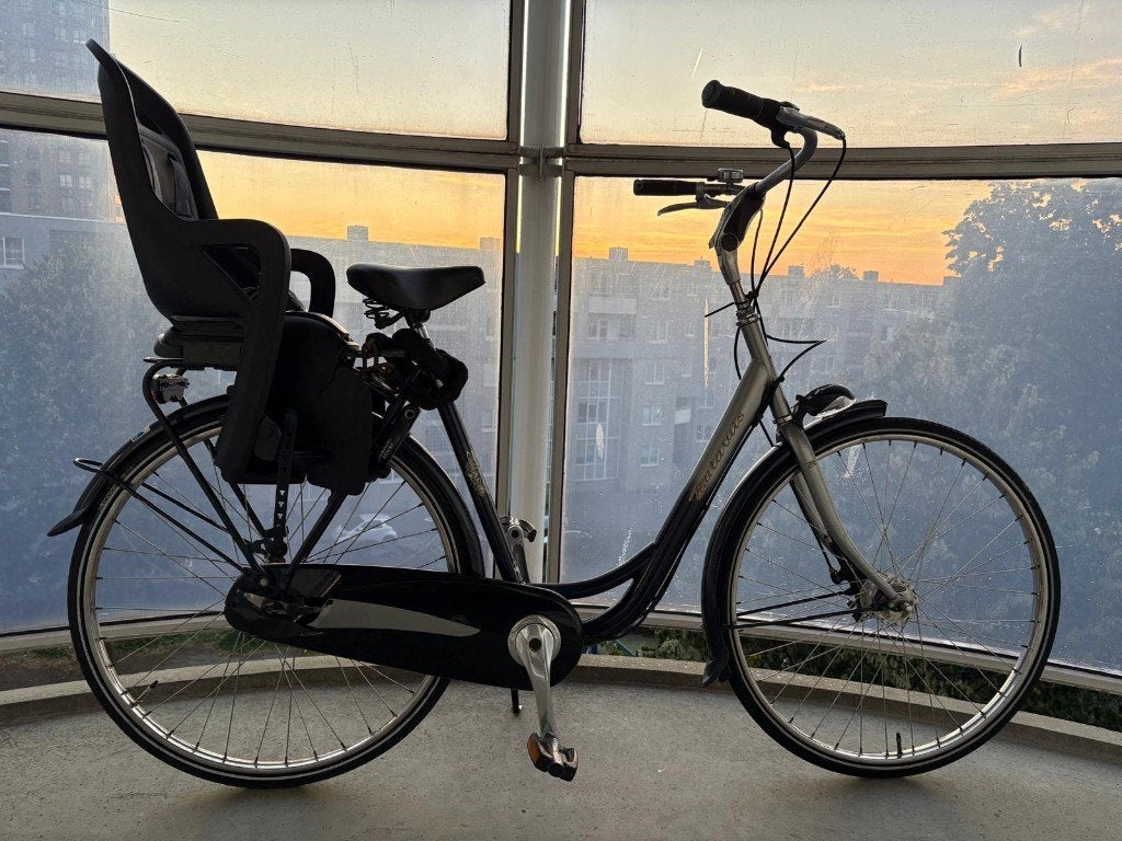Batavus damesfiets met Polisport kinderzitje, Fietsen en Brommers, Ophalen, Gebruikt, Versnellingen, Batavus