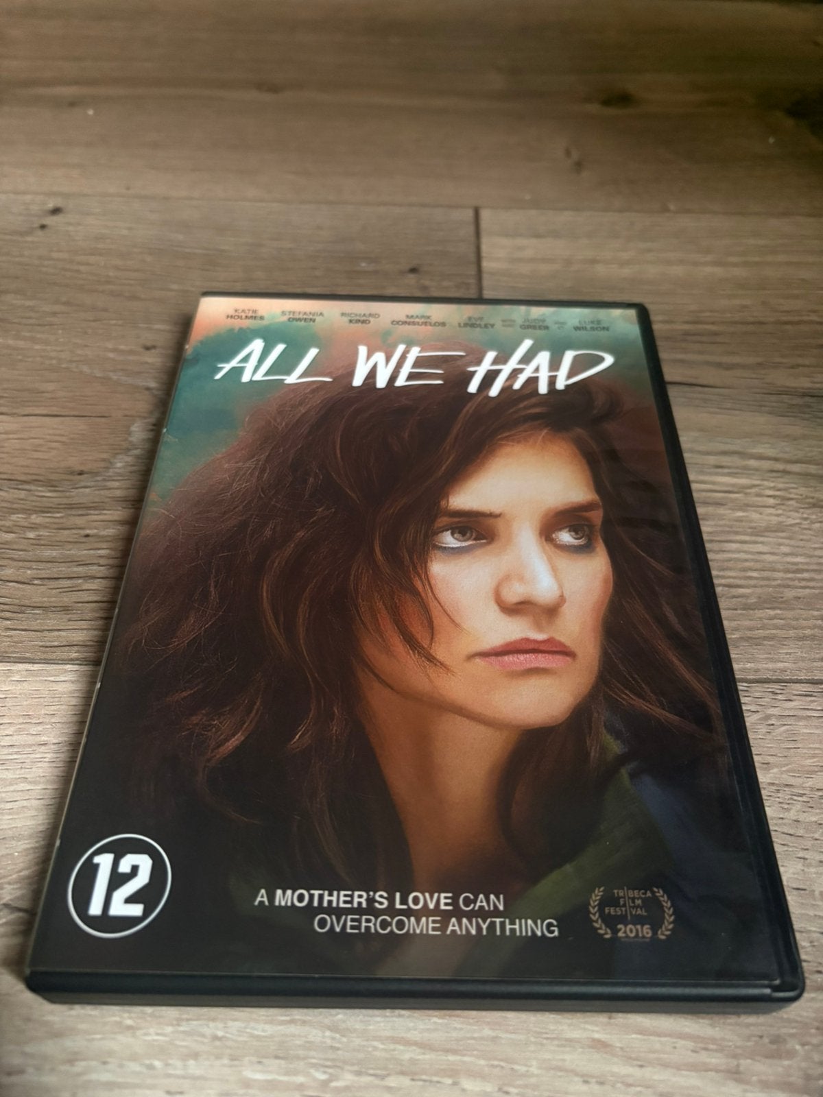 All we Had nederlandse uitgave van Katie Holmes, Alle leeftijden, Ophalen of Verzenden, Zo goed als nieuw, Overige gebieden