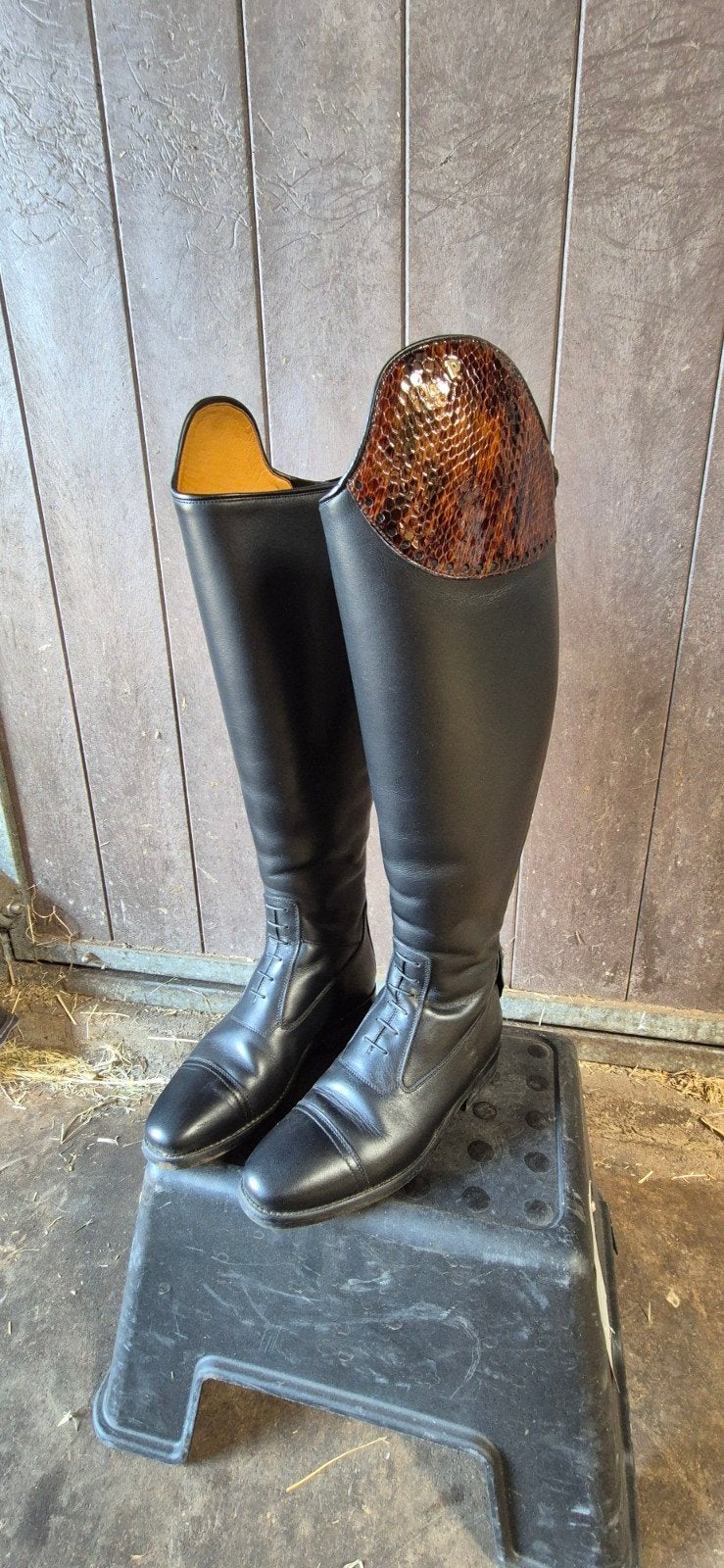Petrie coventry laars maat 37 brede kuit, Dieren en Toebehoren, Paardrijkleding, Zo goed als nieuw, Schoeisel, Dressuur, Ophalen of Verzenden