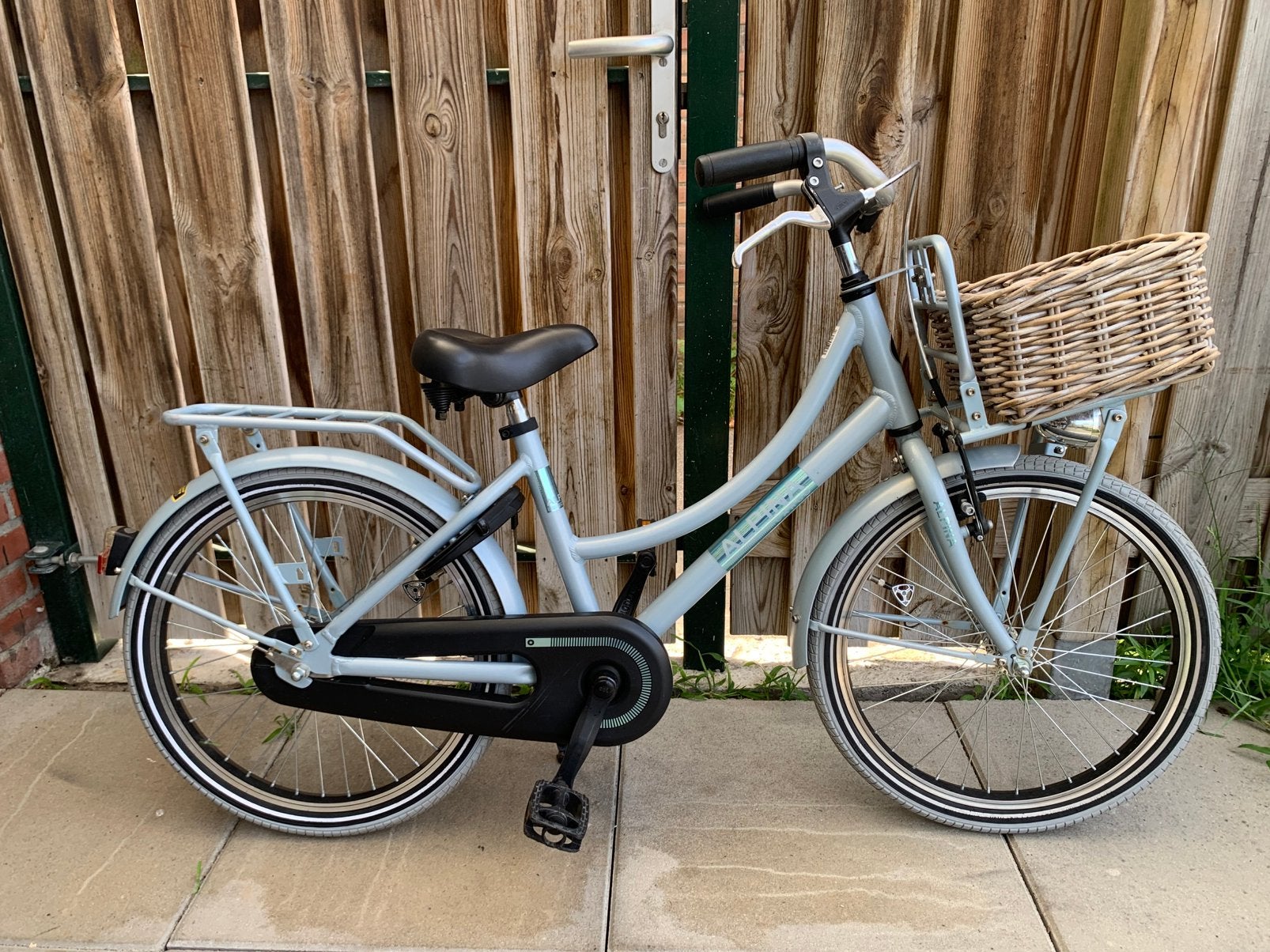 Alpina Cargo 20 inch meisjesfiets, Ophalen, Zo goed als nieuw, 20 inch, Handrem