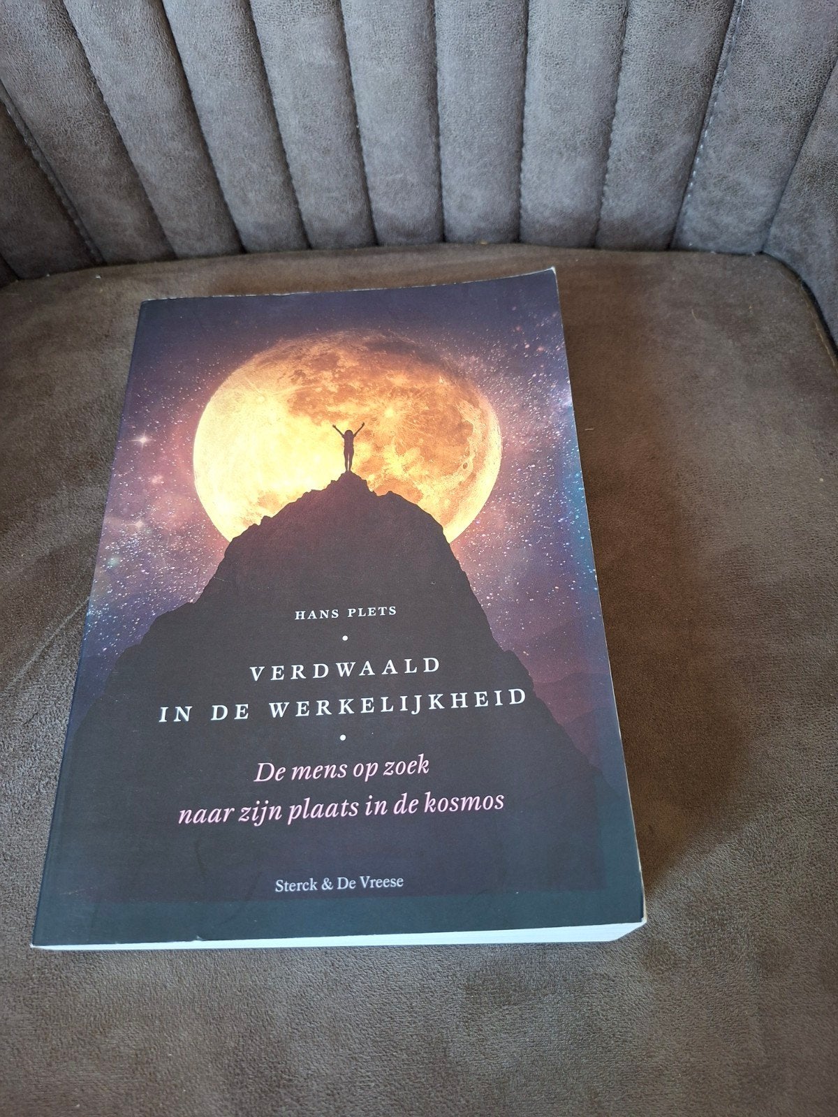 Verdwaald in de Werkelijkheid - Hans Plets, Ophalen of Verzenden, Gelezen, Wijsbegeerte of Ethiek, Hans Plets