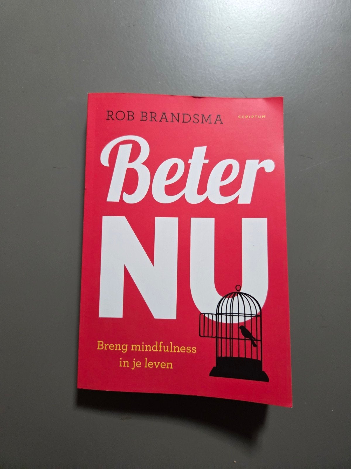 Beter NU: Breng mindfulness in je leven - Rob Brandsma, Boeken, Esoterie en Spiritualiteit, Ophalen, Meditatie of Yoga, Rob Brandsma