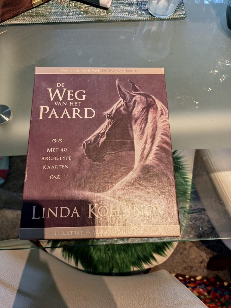 De Weg van het Paard met 40 archetype kaarten, Ophalen of Verzenden, Zo goed als nieuw