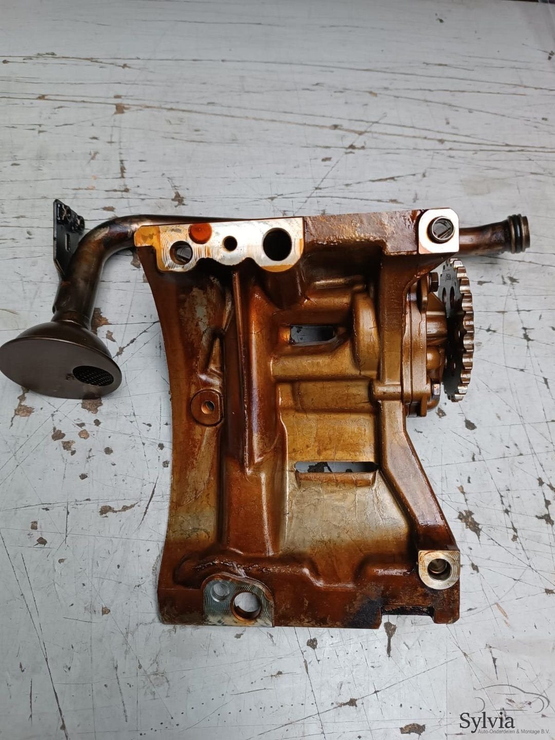 Oliepomp M52 M54 BMW 3 / 5 / X3 / X5 / Z4 serie E46 E60 E83, Gebruikt, -, -, Ophalen of Verzenden