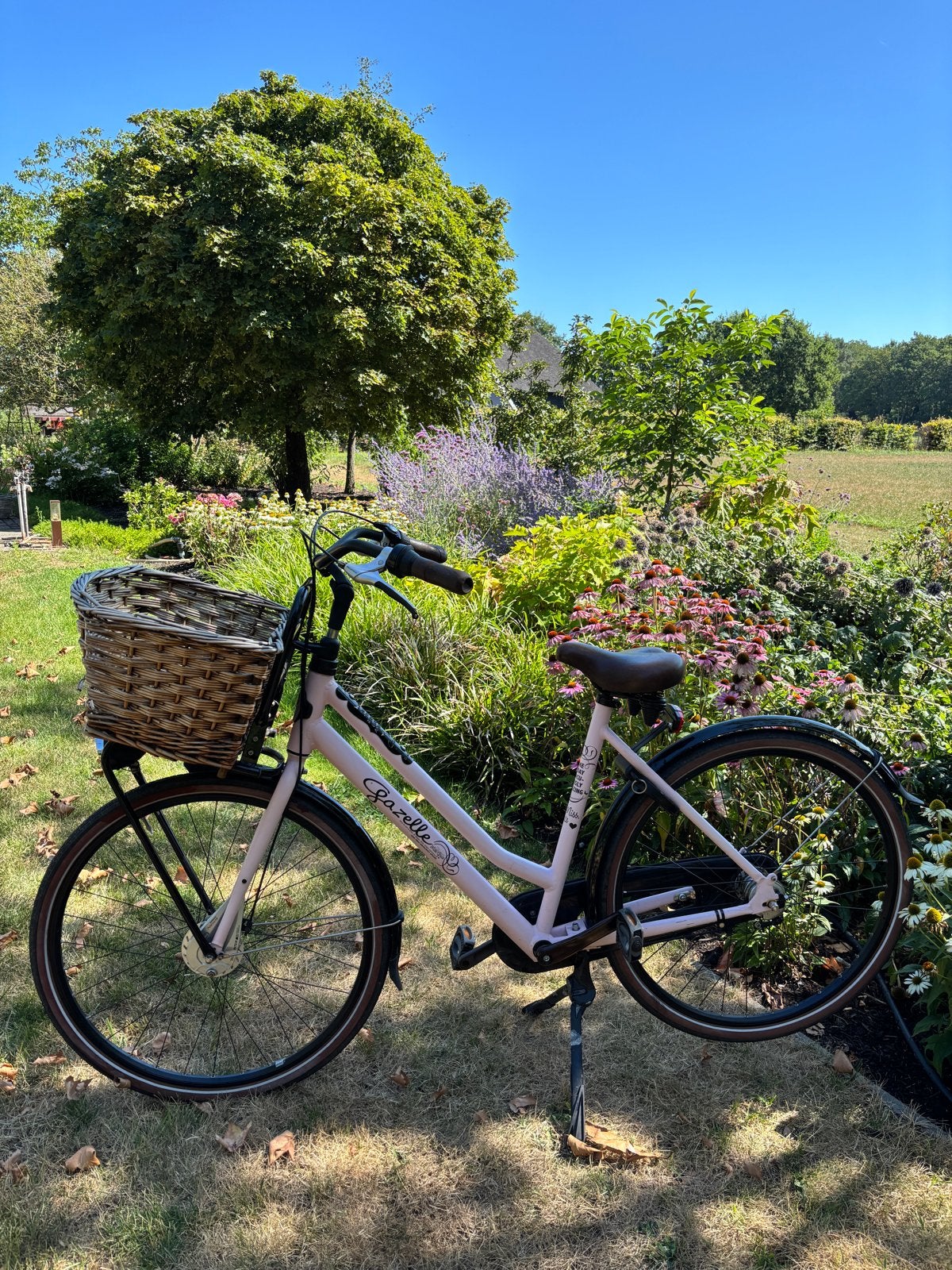 Gazelle Miss Grace damesfiets - Roze met mand, Ophalen, Gebruikt, Versnellingen, 50 tot 53 cm