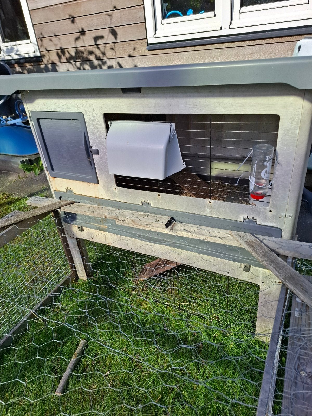 Lief konijn met hok en toebehoren, Ophalen, Overige typen