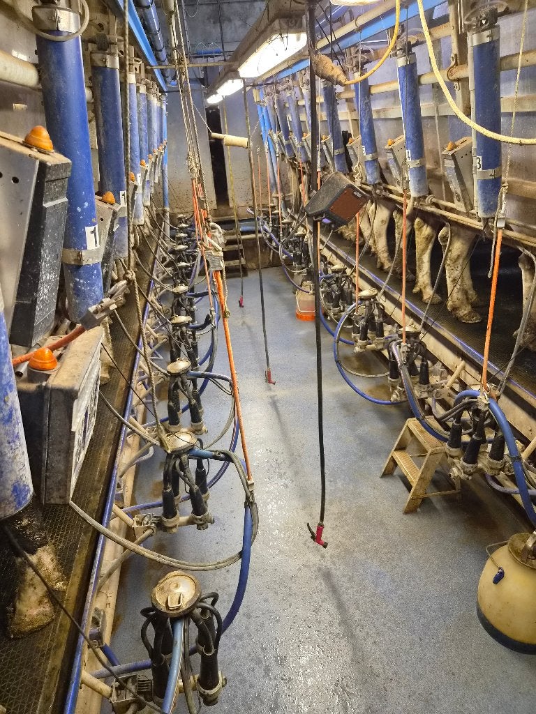 2  10 zij aan zij melkput compleet, Ophalen, Veehouderij, Melktechniek