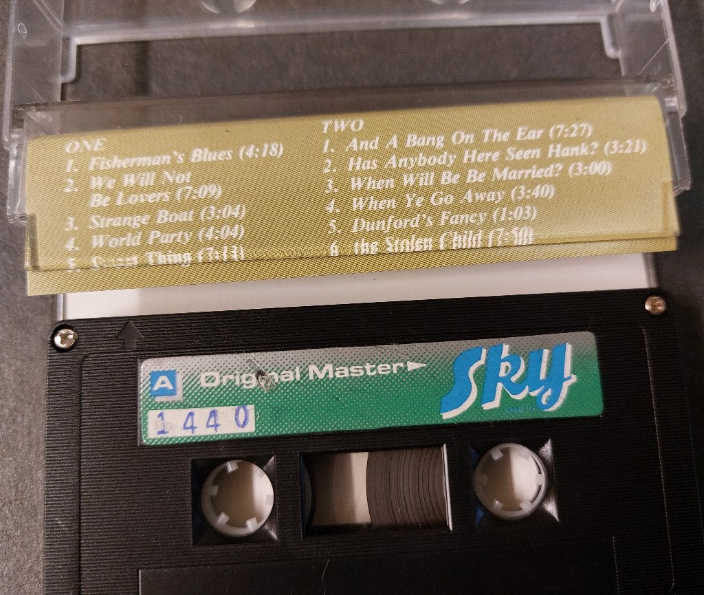 Waterboys CASSETTE Indonesie Fisherman's Blues, Gebruikt, Verzenden, 1 bandje, NvT