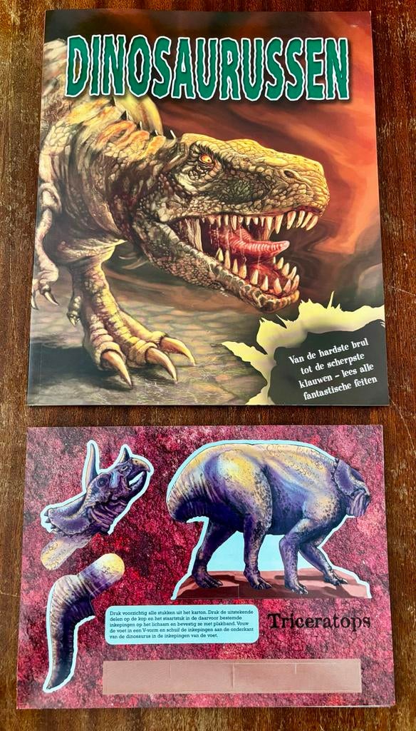 Dinosaurussen boek met bouwpakket, Ophalen of Verzenden, Zo goed als nieuw