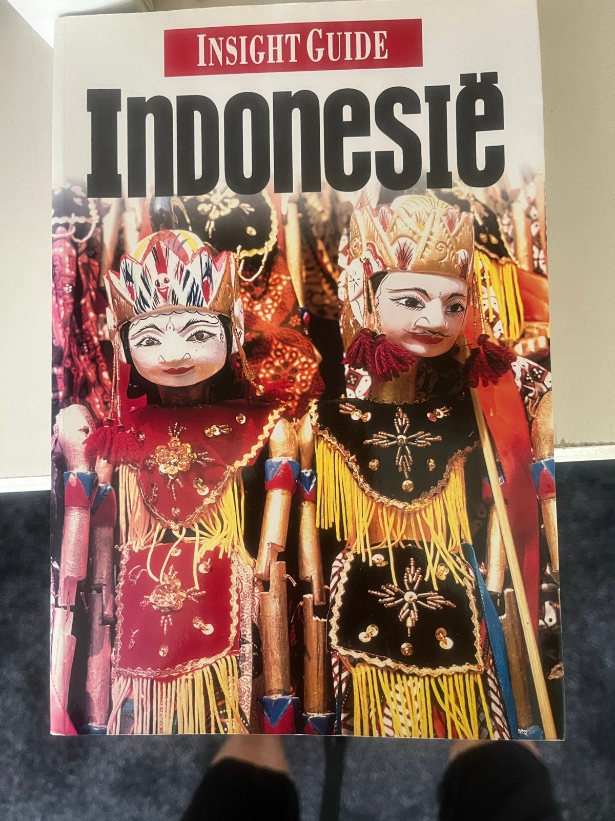 Insight Guide Indonesië - Reisgids, Overige merken, Ophalen of Verzenden, Zo goed als nieuw, Reisgids of -boek