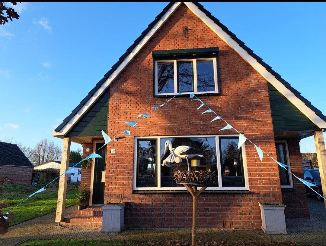Te huur: ooievaar op nest €5,- per week, Ophalen, Gebruikt, Geboorte of Huwelijk