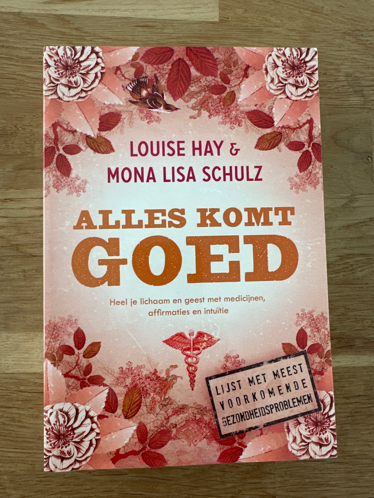 Louise Hay - Alles komt goed, Boeken, Achtergrond en Informatie, Nieuw, Ophalen of Verzenden, Overige onderwerpen