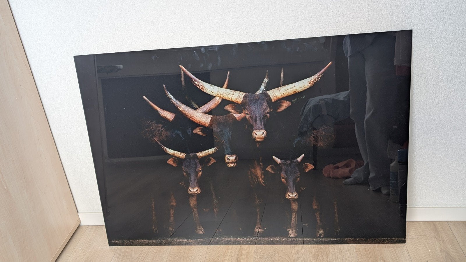 Prachtig acrylglas schilderij 120x80 inclusief ophangsysteem, Ophalen, Zo goed als nieuw