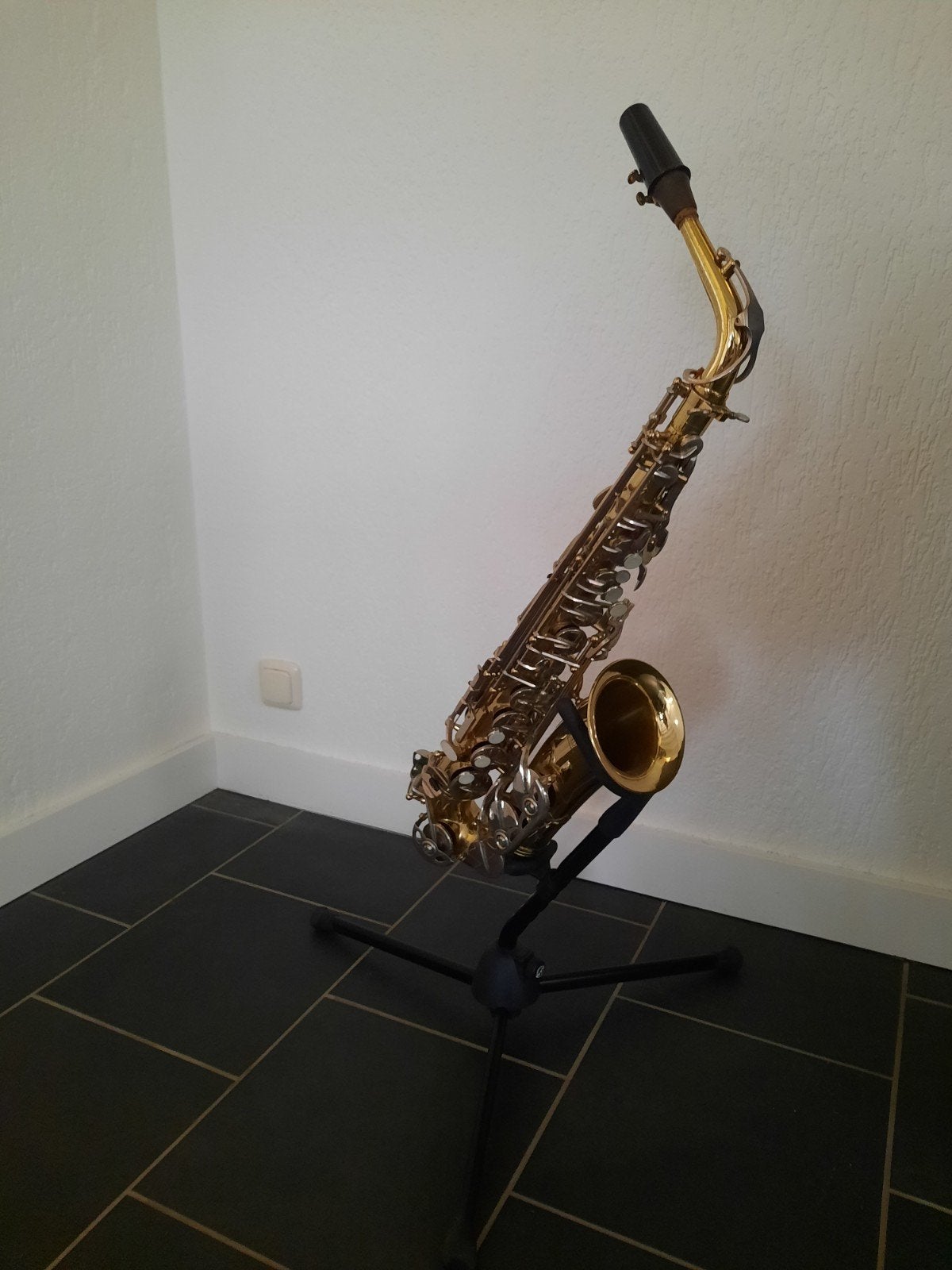 Gebruikte Dixon altsaxofoon met koffer en standaard, Muziek en Instrumenten, Blaasinstrumenten | Saxofoons, Ophalen, Gebruikt