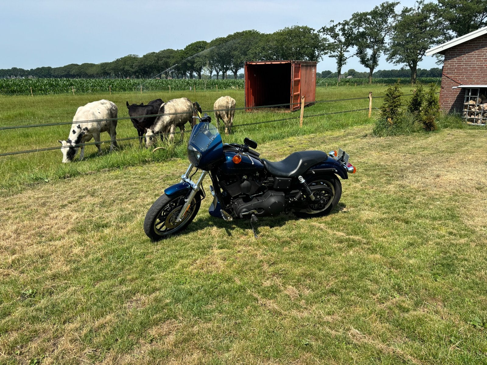 Harley-Davidson Dyna FXDX super sport, Motoren, Motoren | Harley-Davidson, Particulier, Chopper, meer dan 35 kW, 2 cilinders, Motorrijbewijs A