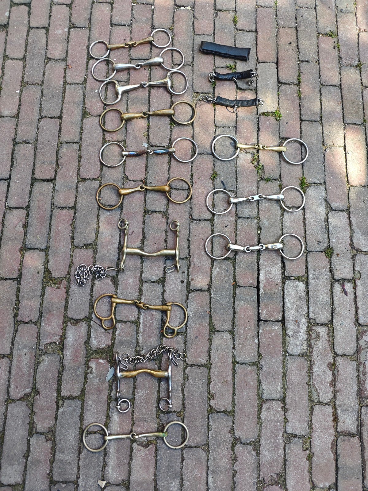 Bitten, stang, aurigan, trust, van alles, Ophalen of Verzenden, Bitten, Info@bitten.nl, Bittenstraat