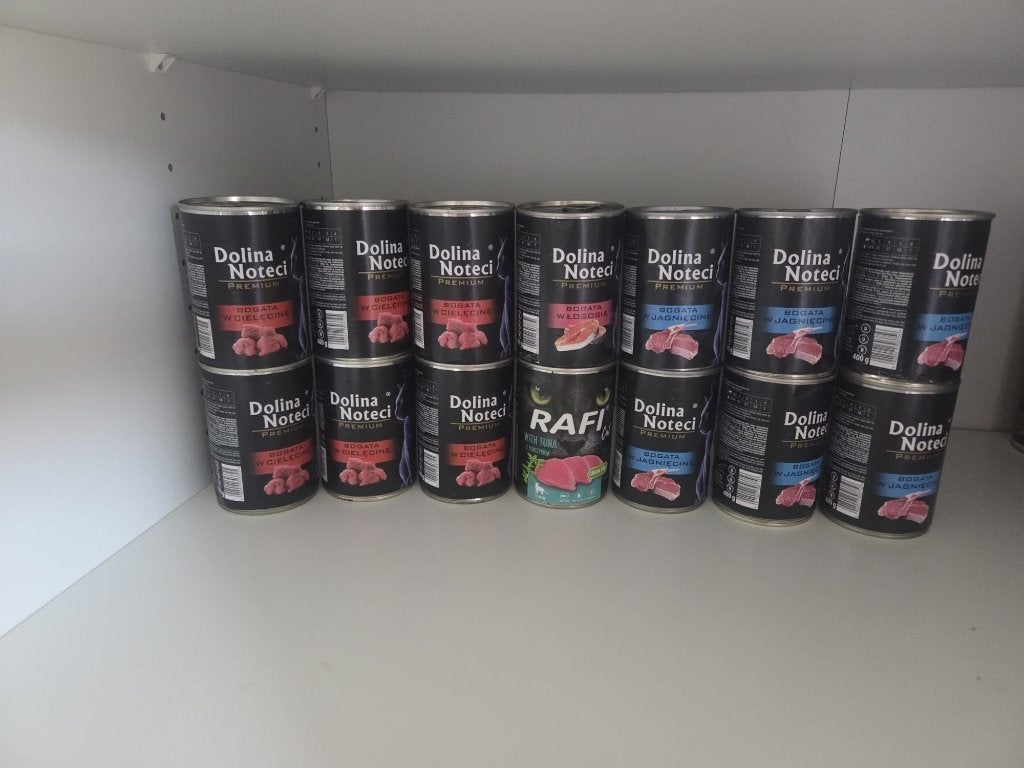 Dolina Noteci Premium katten, Ophalen of Verzenden, Kat