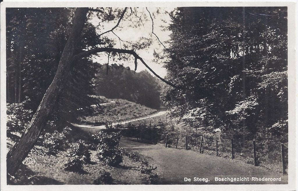 De Steeg Boschgezicht Rhederoord Oude Ansichtkaart (y970 ), Ophalen of Verzenden, 1980 tot heden, Gelopen, Gelderland