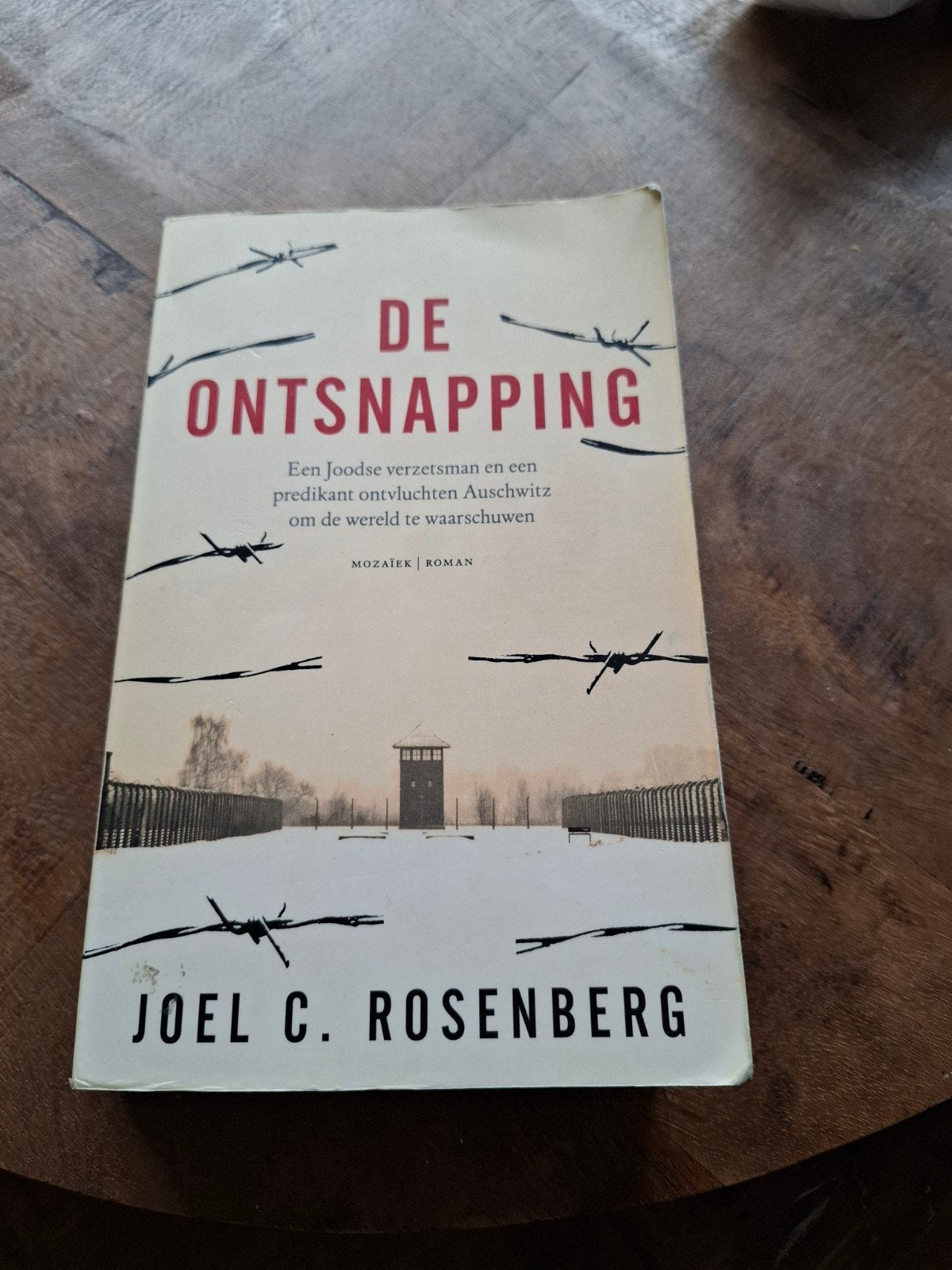 De Ontsnapping - Joel C. Rosenberg (Thriller), Boeken, Ophalen of Verzenden, Gelezen, Joel C. Rosenberg, Nederland