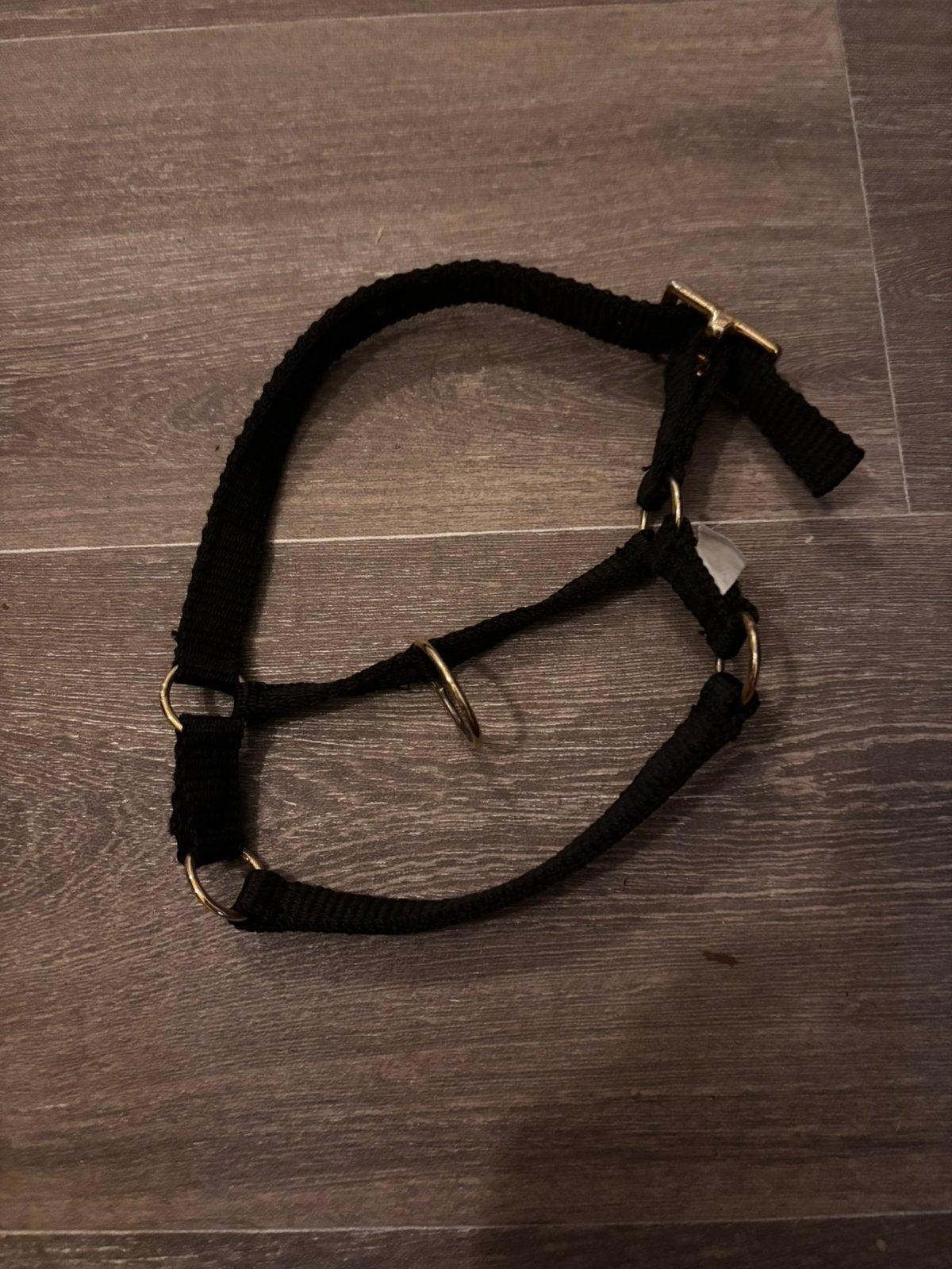 Alpaca halster te koop, Dieren en Toebehoren, Ophalen of Verzenden, Nieuw