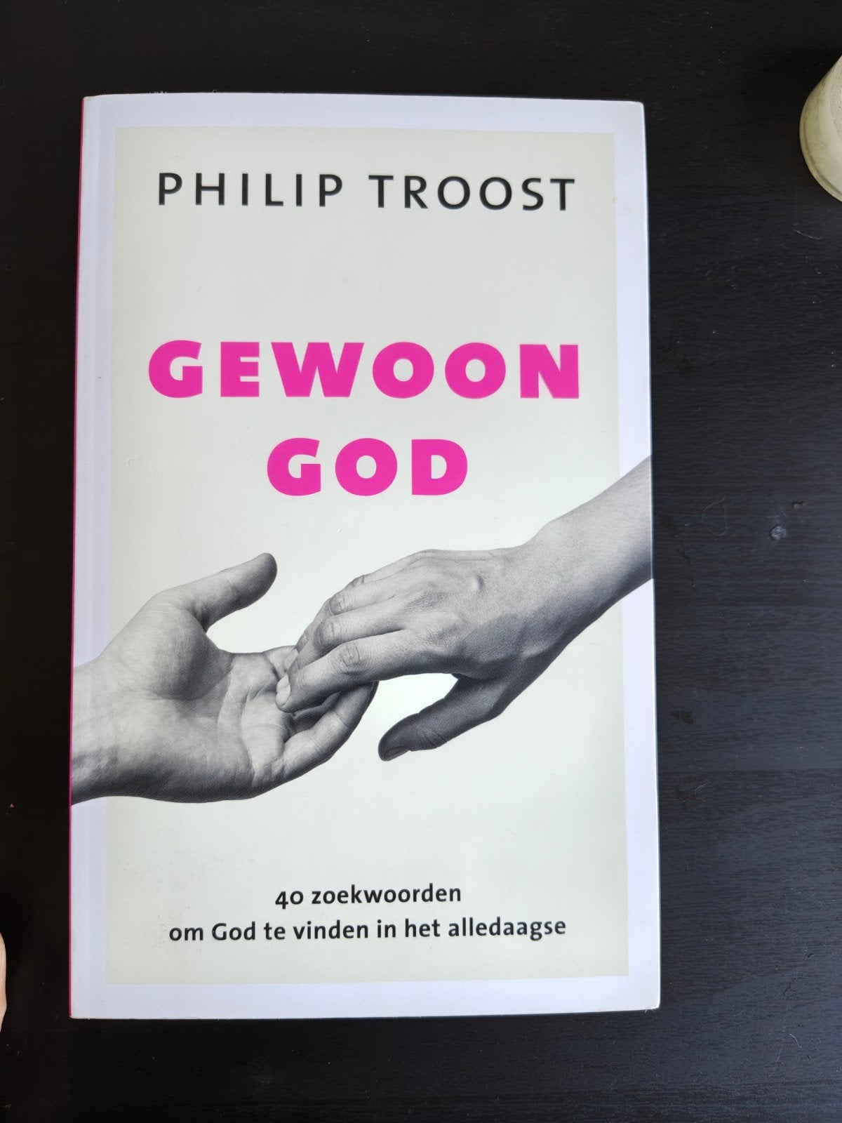 Gewoon God - Philip Troost (Zo goed als nieuw), Ophalen of Verzenden, Zo goed als nieuw