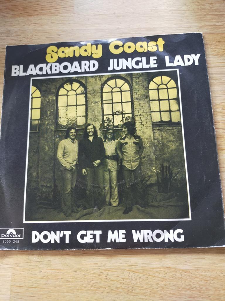 Sandy Coast , blackboard jungle lady, Ophalen of Verzenden, Zo goed als nieuw, Pop