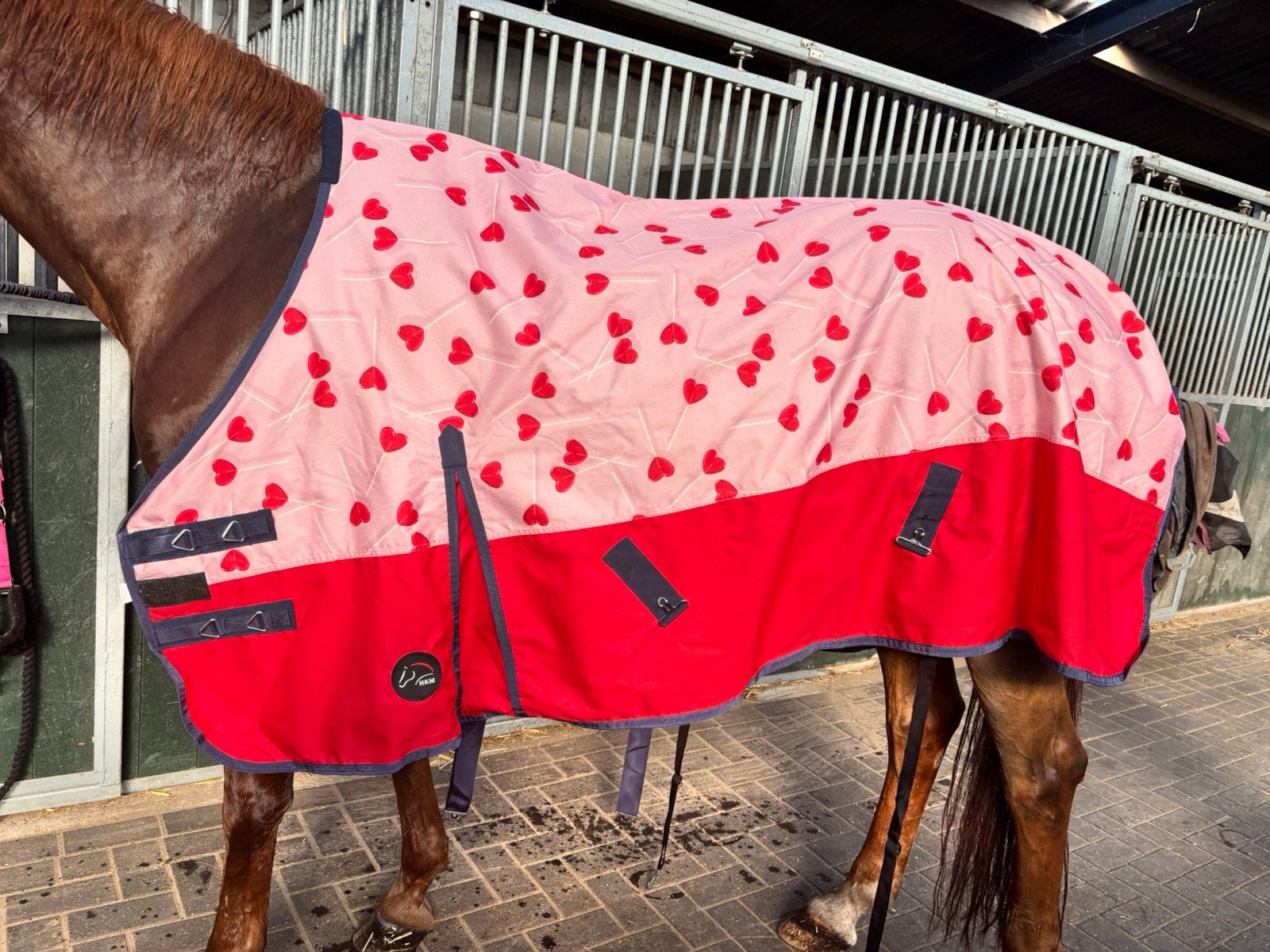 Mooie 100 grams deken hkm, Dieren en Toebehoren, Paarden en Pony's | Dekens en Dekjes, Ophalen, 100 g, Zo goed als nieuw, Regendeken