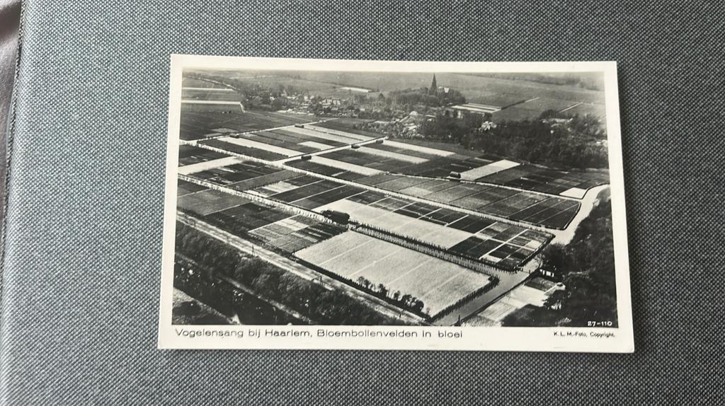 Vogelenzang klm luchtfoto panorama bloembollenvelden, Ophalen of Verzenden, 1940 tot 1960, Ongelopen, Noord-Holland