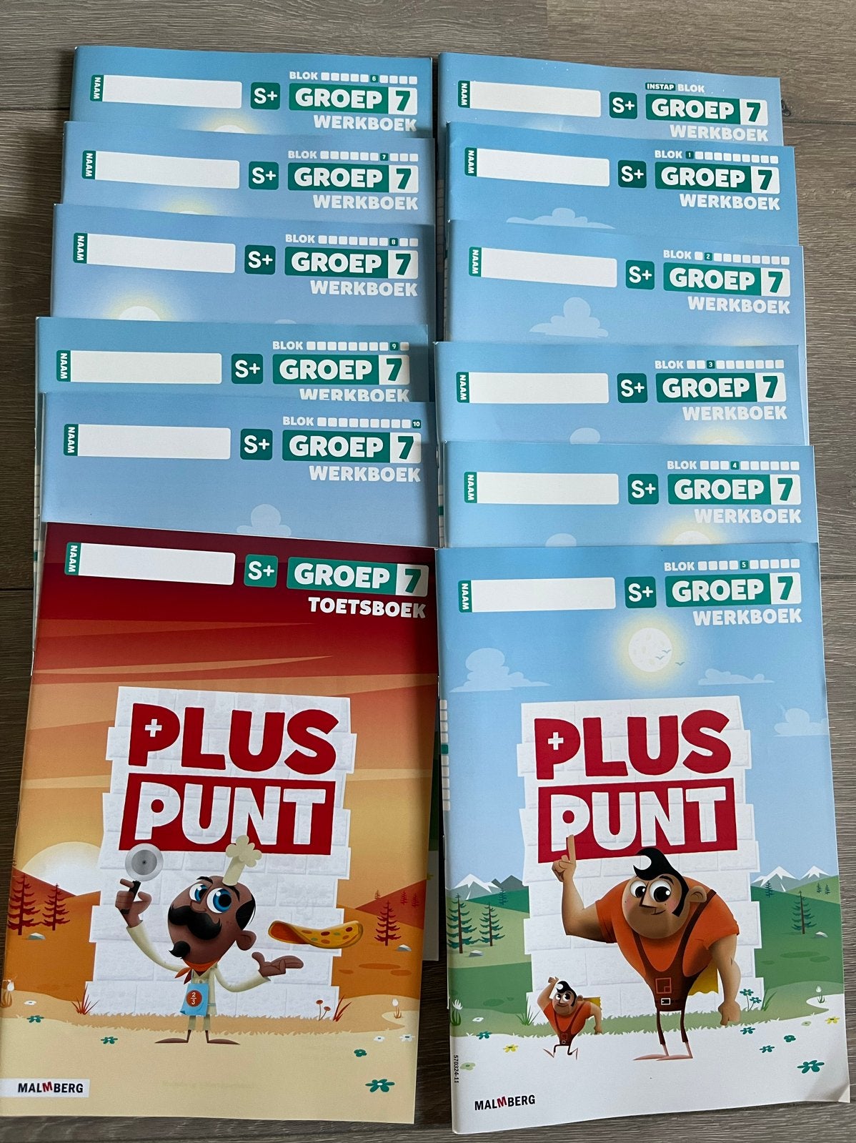 Pluspunt Groep 7 S+ Werkboeken en Conditietraining, Ophalen of Verzenden, Gelezen, Overige niveaus, Overige vakken