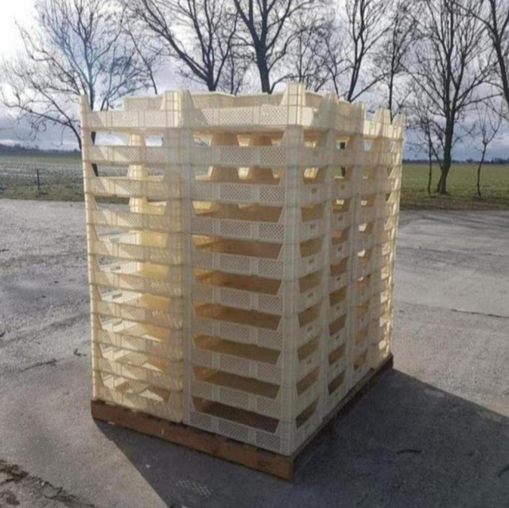 307 plastic kratten / kisten, 40 tot 60 cm, 50 tot 75 cm, Minder dan 35 cm, Ophalen of Verzenden