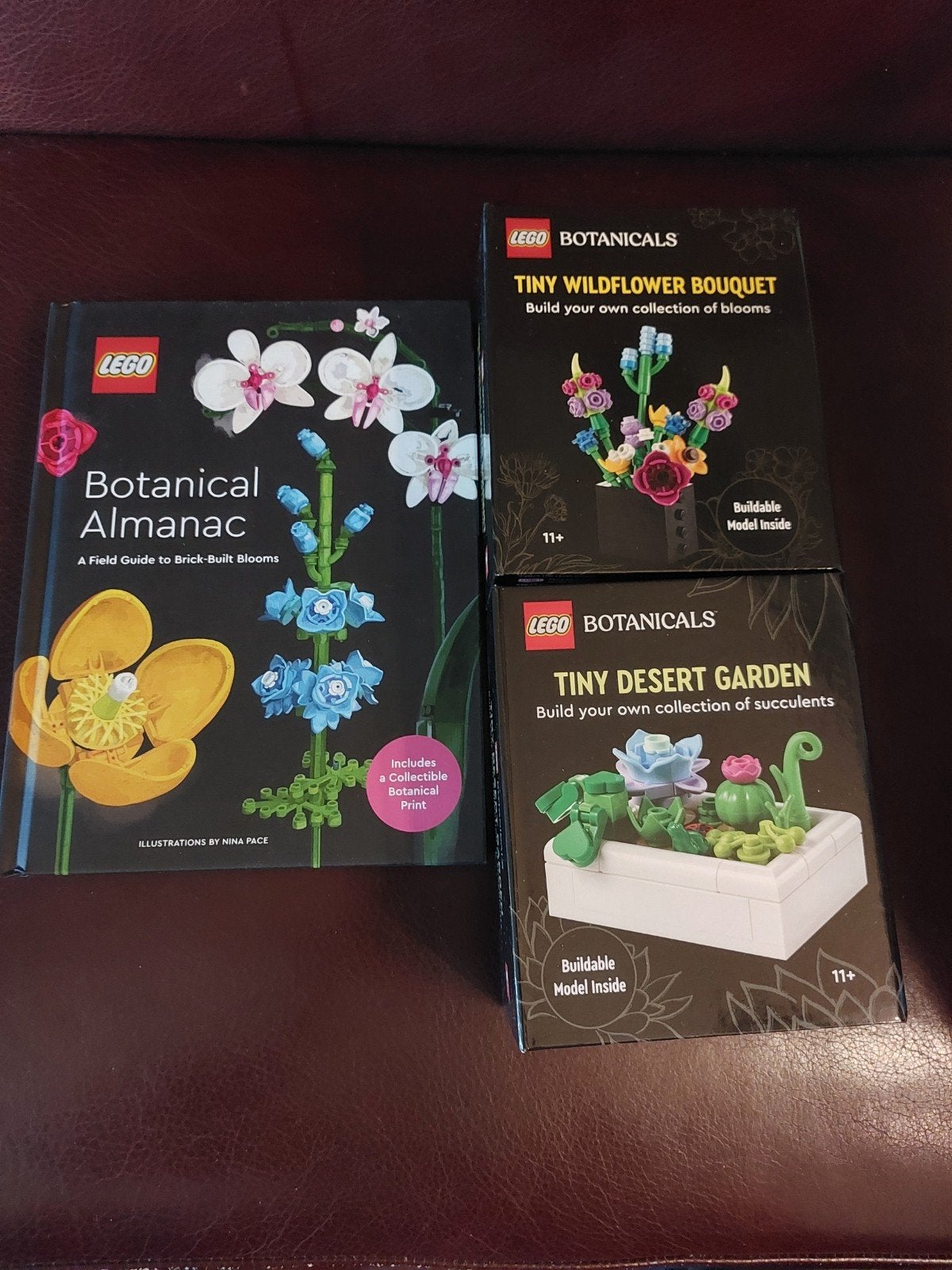 LEGO Botanicals Boek en Bouwsets - Nieuw, Ophalen of Verzenden, Nieuw