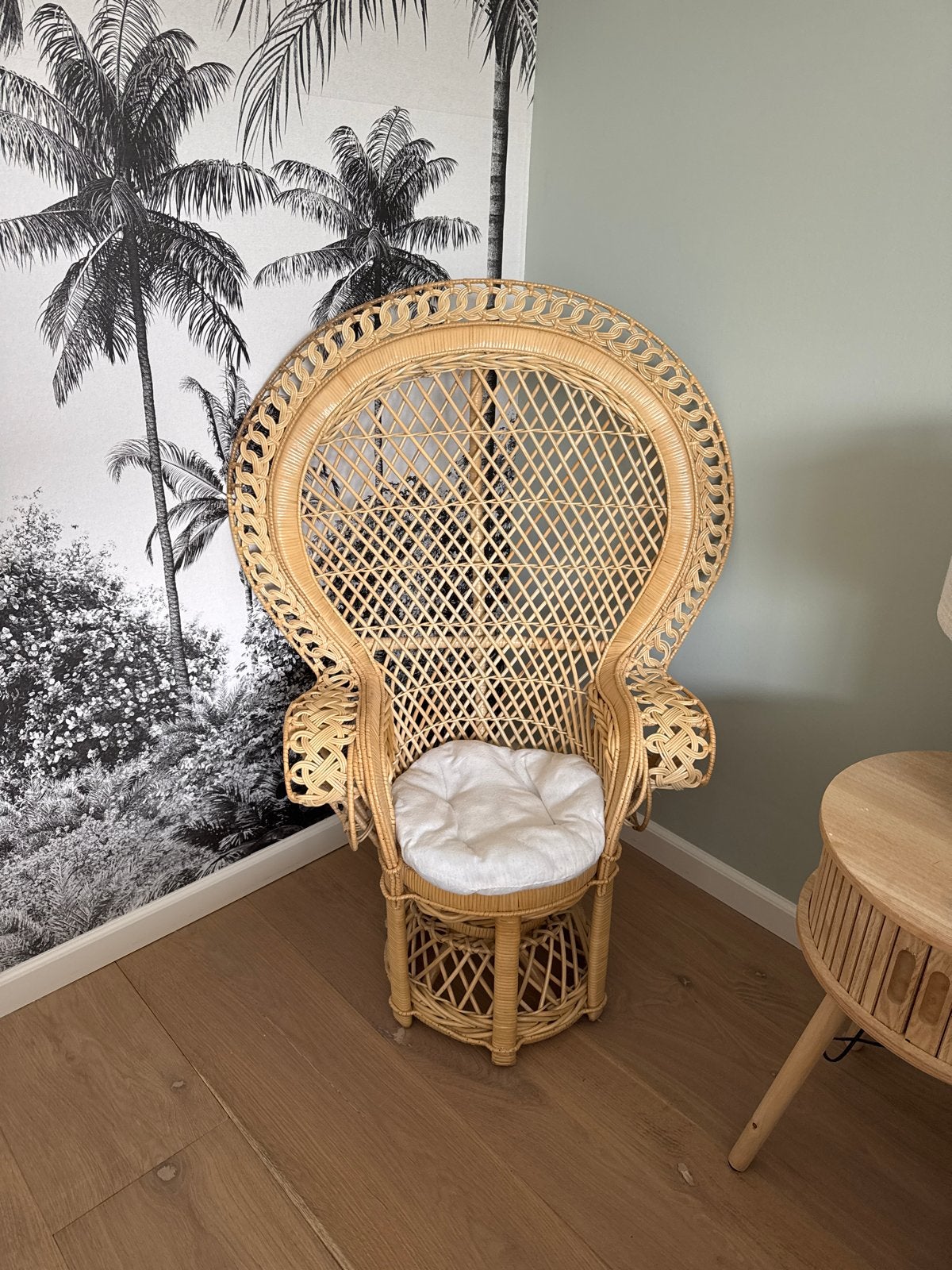 Rotan pauwenstoel voor kinderkamer, Ophalen of Verzenden, Zo goed als nieuw, Stoel(en)