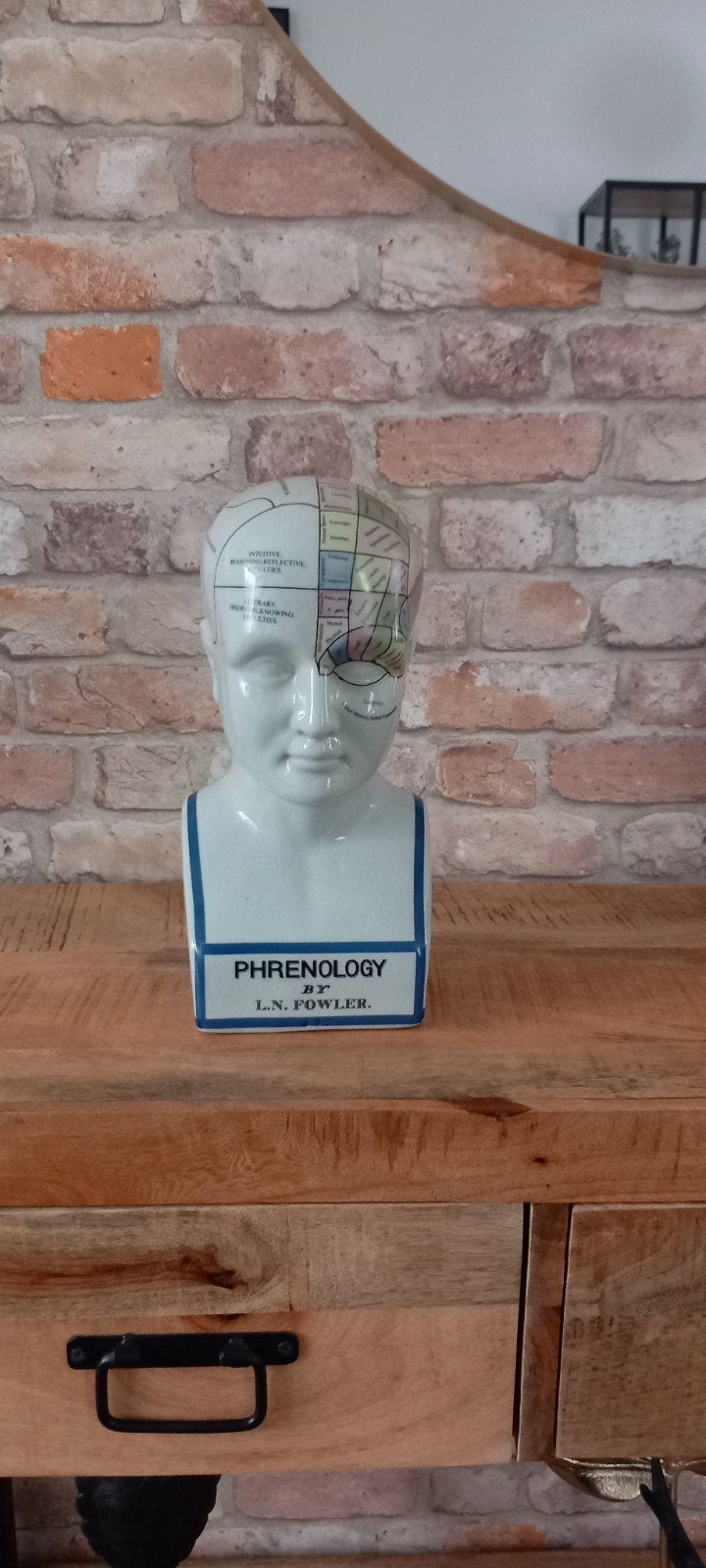 Beeld:L.N Fowler Phrenology Hoofd♥️NIEUW♥️, Ophalen of Verzenden, Nieuw, Overige typen