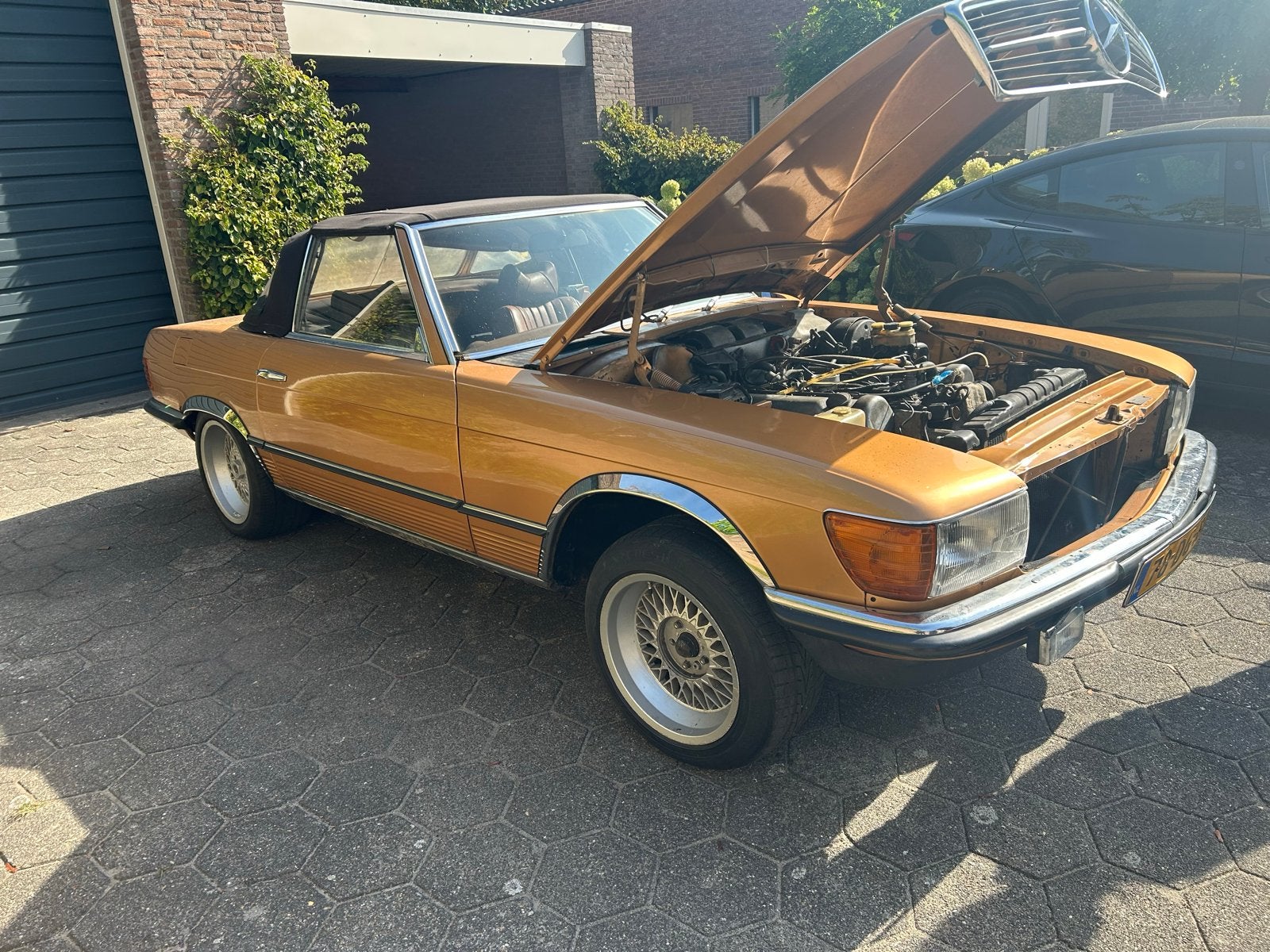 Mercedes-Benz Mercedes 1974 Bruin, foto 5