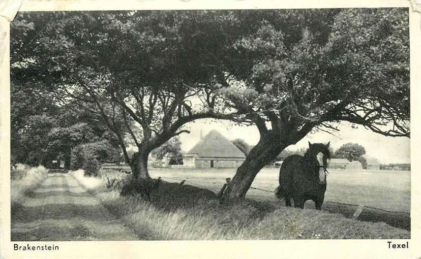 380-895-037 Texel Brakenstein, Verzenden, Voor 1920, Noord-Holland