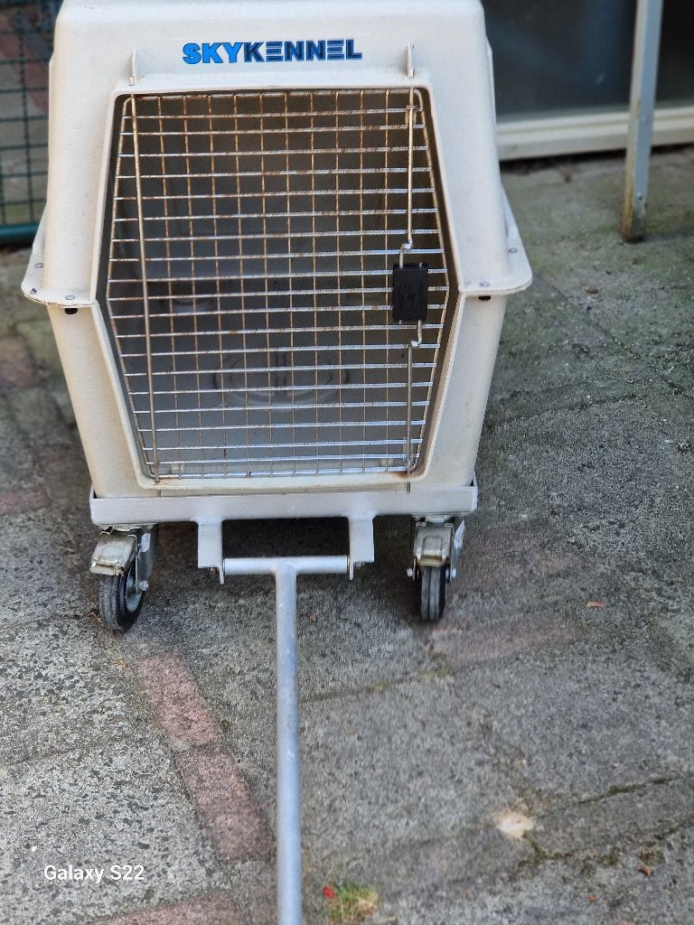 Honden Bench met onderbouw, Ophalen, Gebruikt