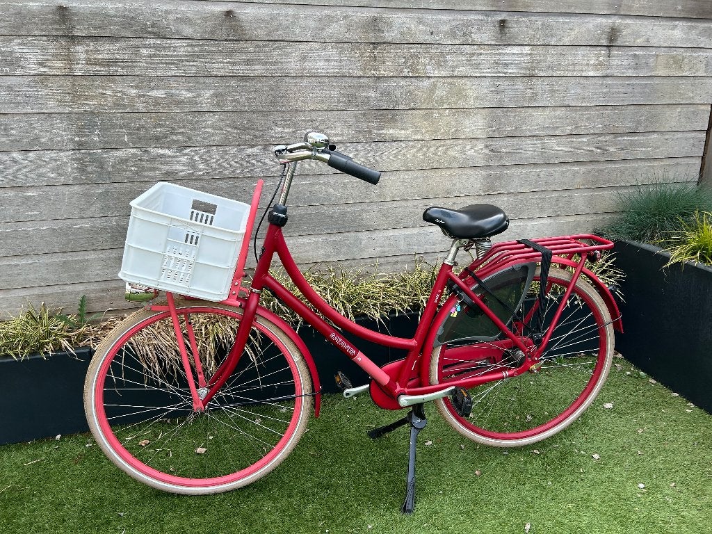 Batavus CNTD rood stadsfiets 28 inch H49, Ophalen, Terugtraprem, Gebruikt, 47 tot 50 cm