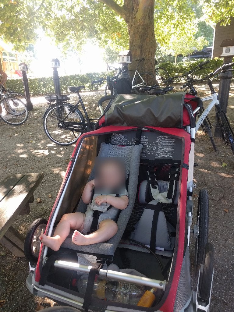 Thule Chariot Cougar fietskar voor 2 kindjes, Ophalen, Gebruikt, Opvouwbaar, Minder dan 20 kg
