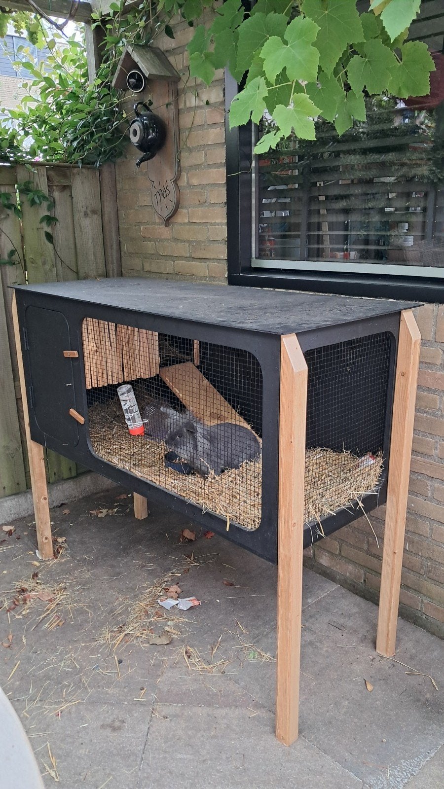 konijntje plus kok, Dieren en Toebehoren, Ophalen, 110 cm of meer, Zo goed als nieuw, 90 cm of meer