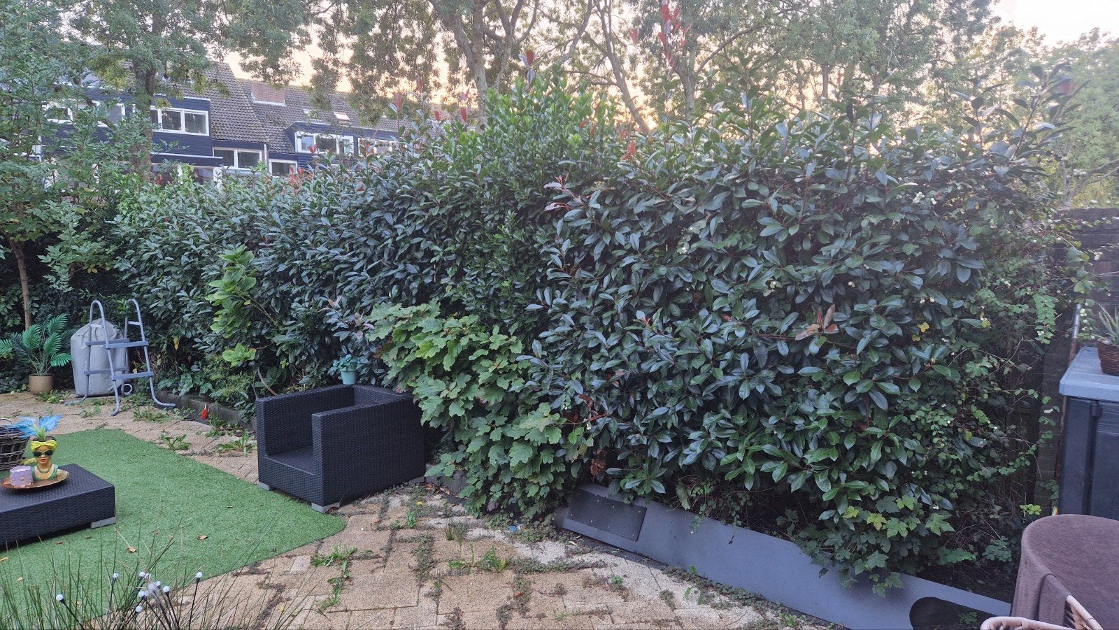 complete haag, Tuin en Terras, Ophalen, Haag, 100 tot 250 cm