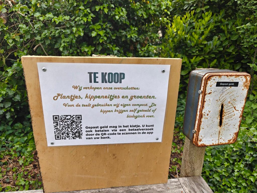 Crosne, Aardpeer en Zonnewortel plantjes, Tuin en Terras, Planten | Tuinplanten, Ophalen, Volle zon, Bloeit niet, Groenteplanten
