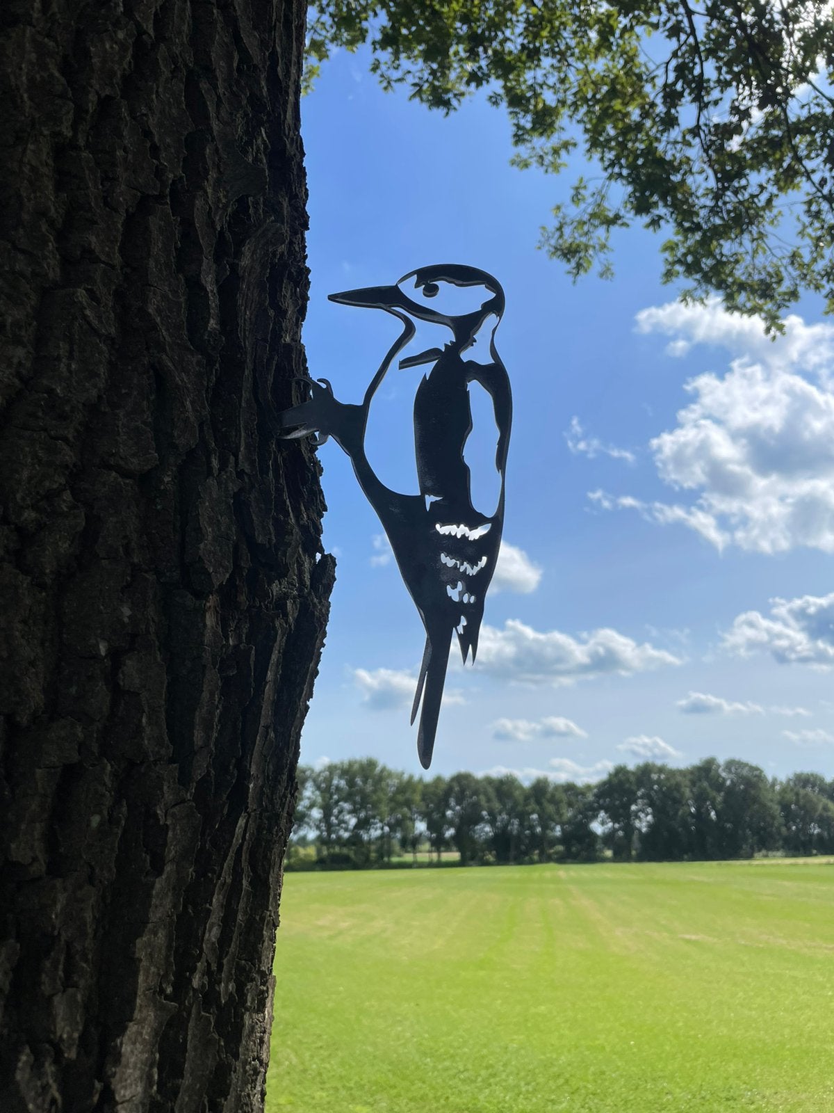 Metal bird cortenstaal boomsteker nieuw cortenstaal, Dierenbeeld, Nieuw, Ophalen of Verzenden, Veenakkers