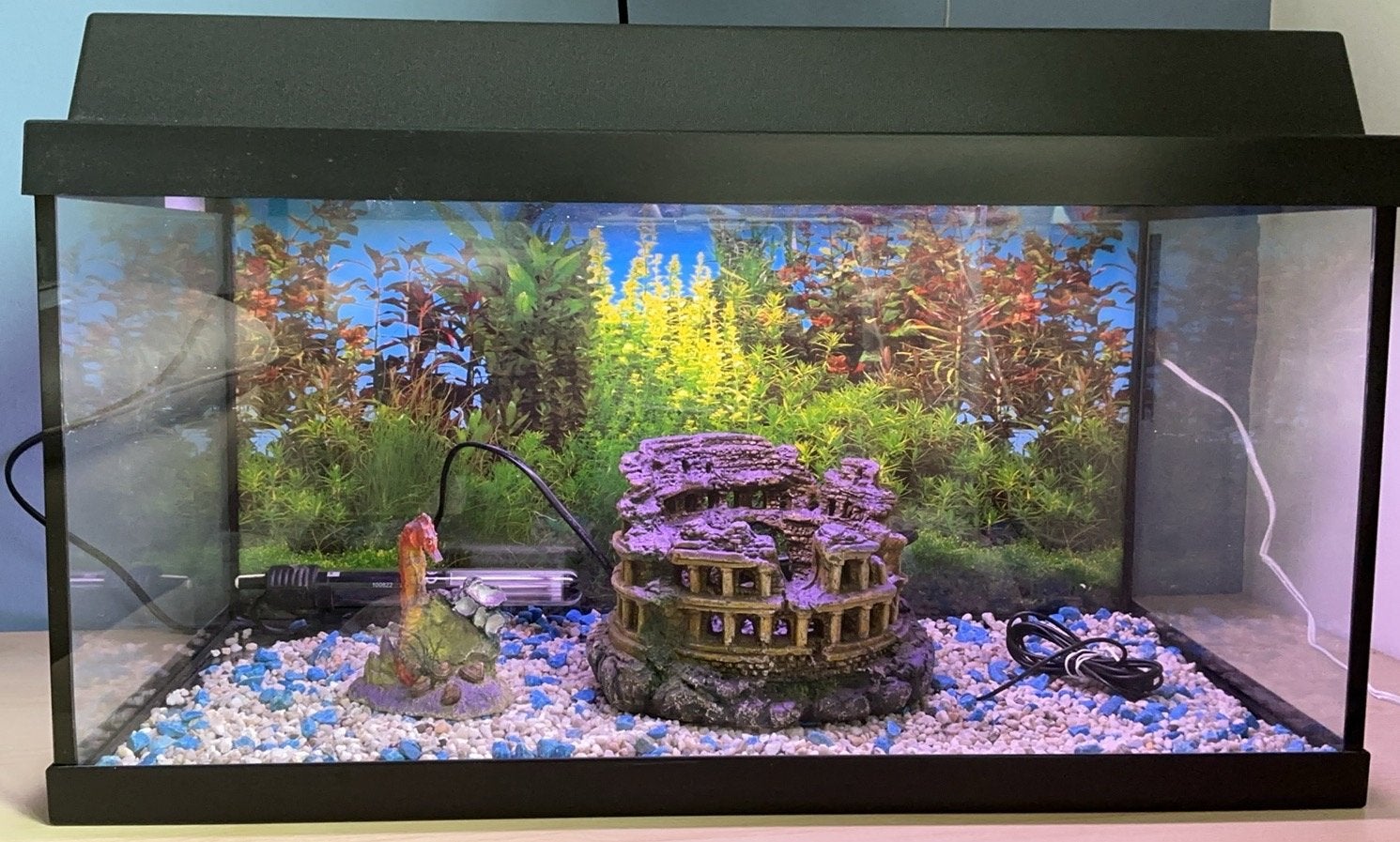 Grote aquarium met accesoires, Dieren en Toebehoren, Ophalen, Inclusief deksel, Zo goed als nieuw, Gevuld zeewateraquarium