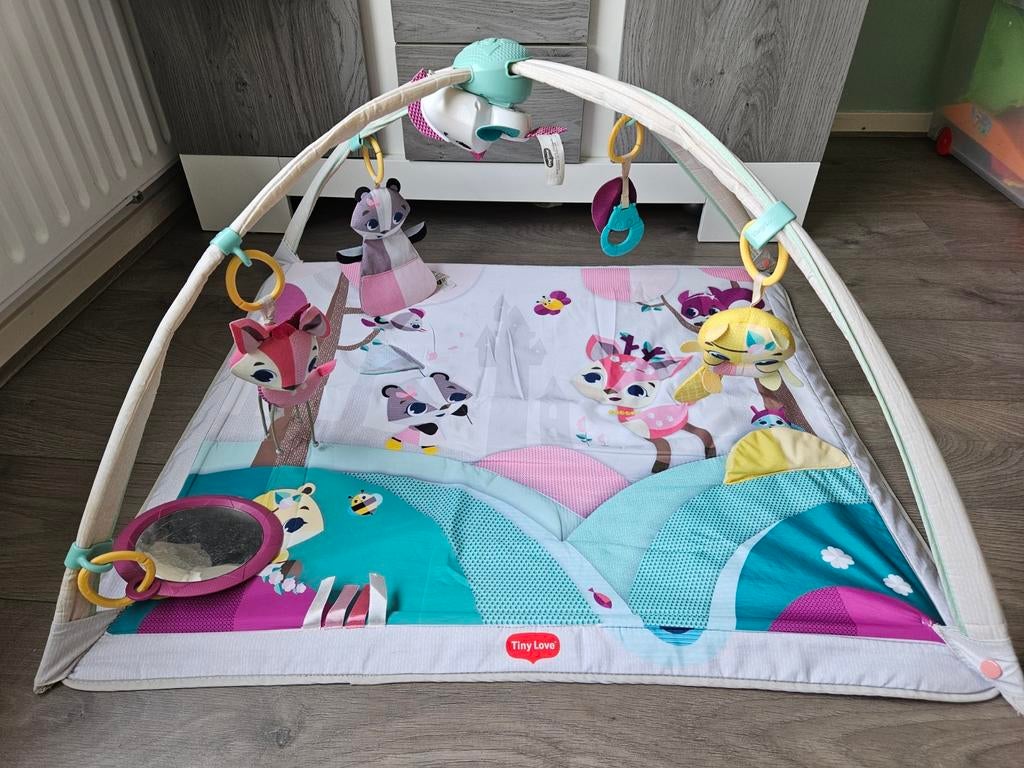 Tiny Love Babygym, Kinderen en Baby's, Speelgoed | Babyspeelgoed, Ophalen of Verzenden, Gebruikt, Babygym