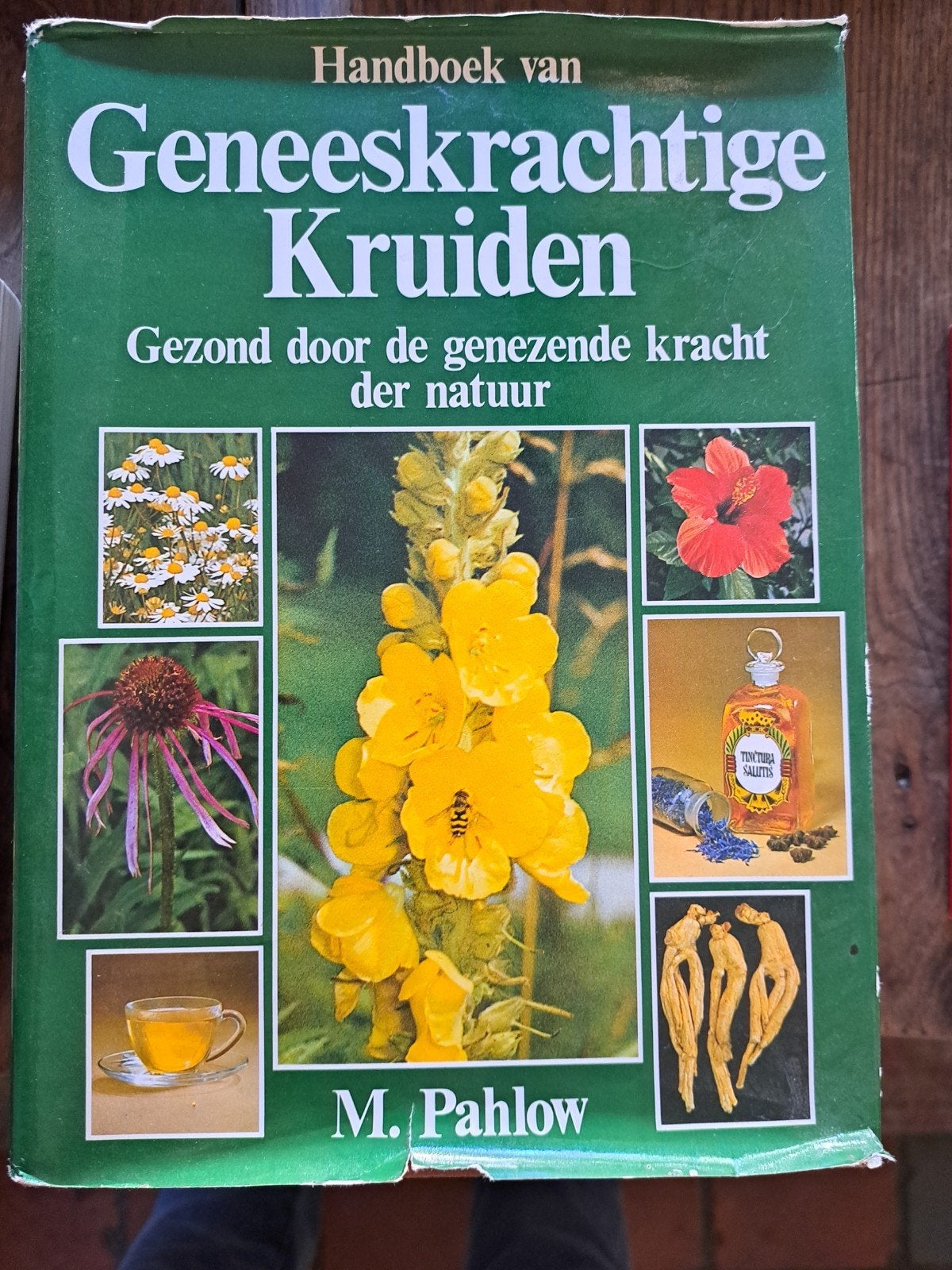 geneeskrachtige kruiden, Ophalen of Verzenden, Gelezen, Moestuin