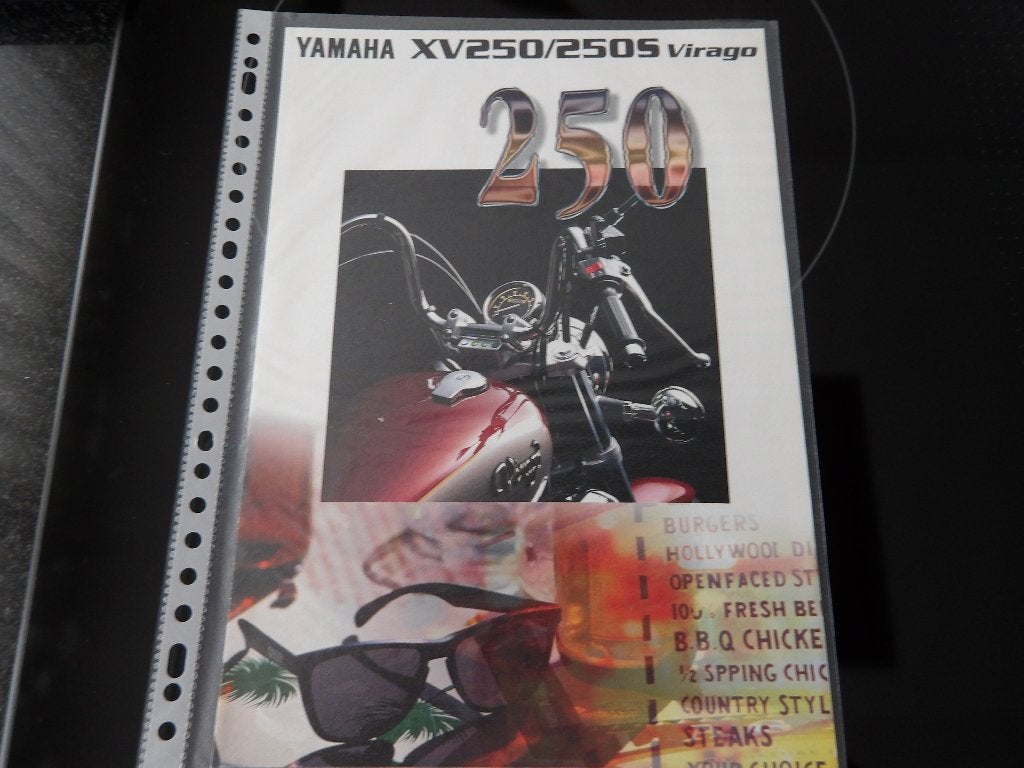 Yamaha XV250/250S Virago Brochure, Ophalen of Verzenden, Yamaha
